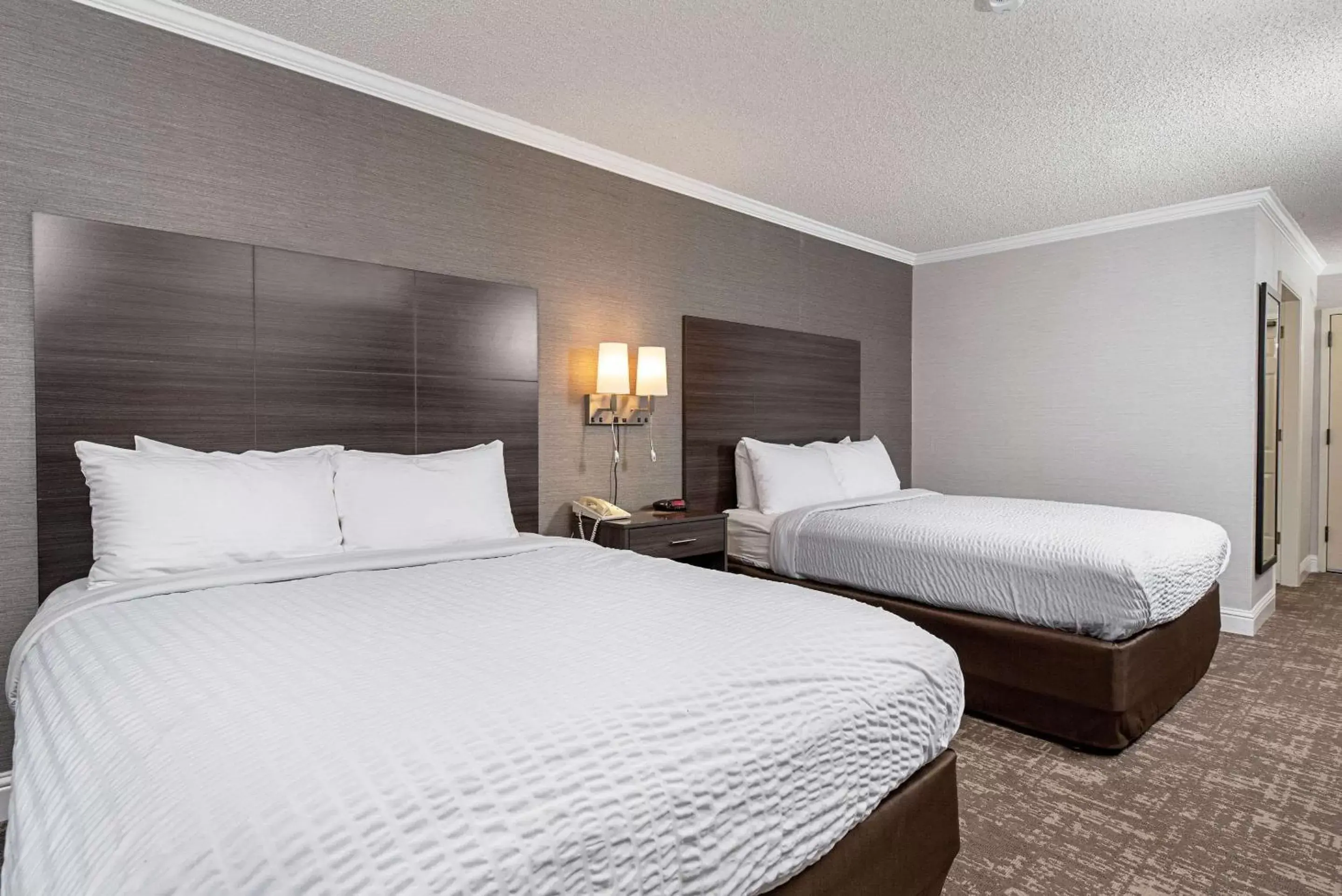 Photo of the whole room, Bed in Clarion Inn Silicon Valley Photo of the whole room, Bed in Clarion Inn Silicon Valley