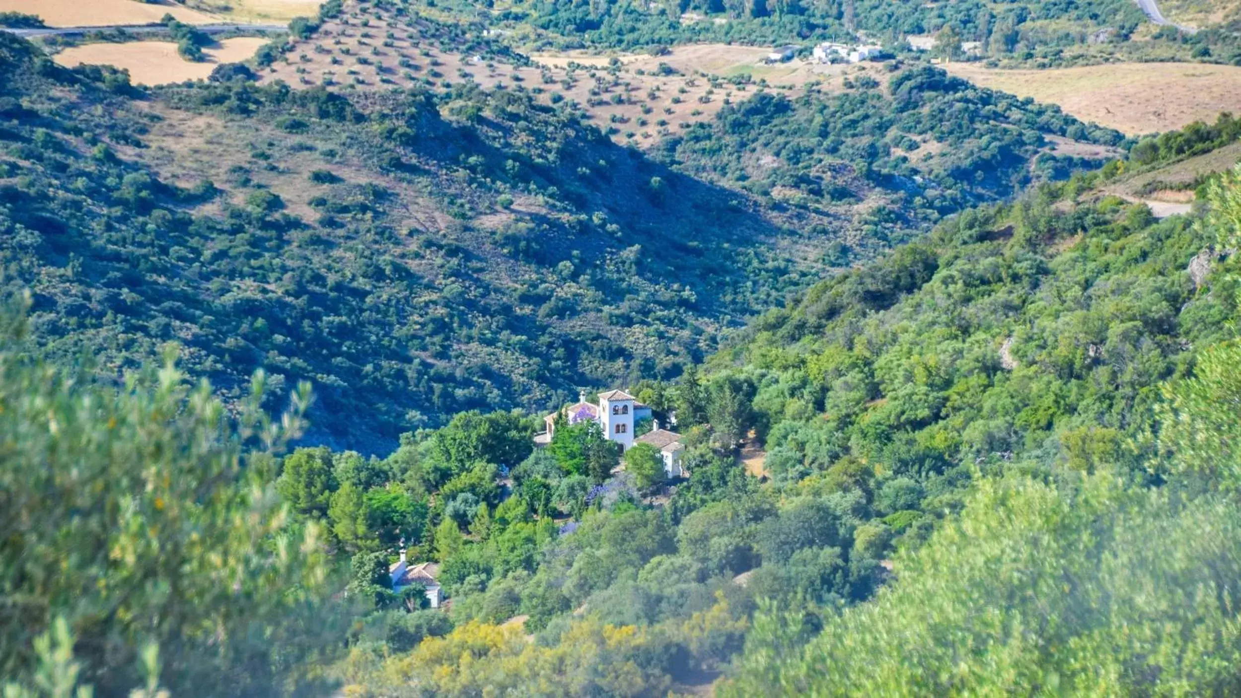 Natural landscape, Bird's-eye View in Casas Rurales Los Algarrobales