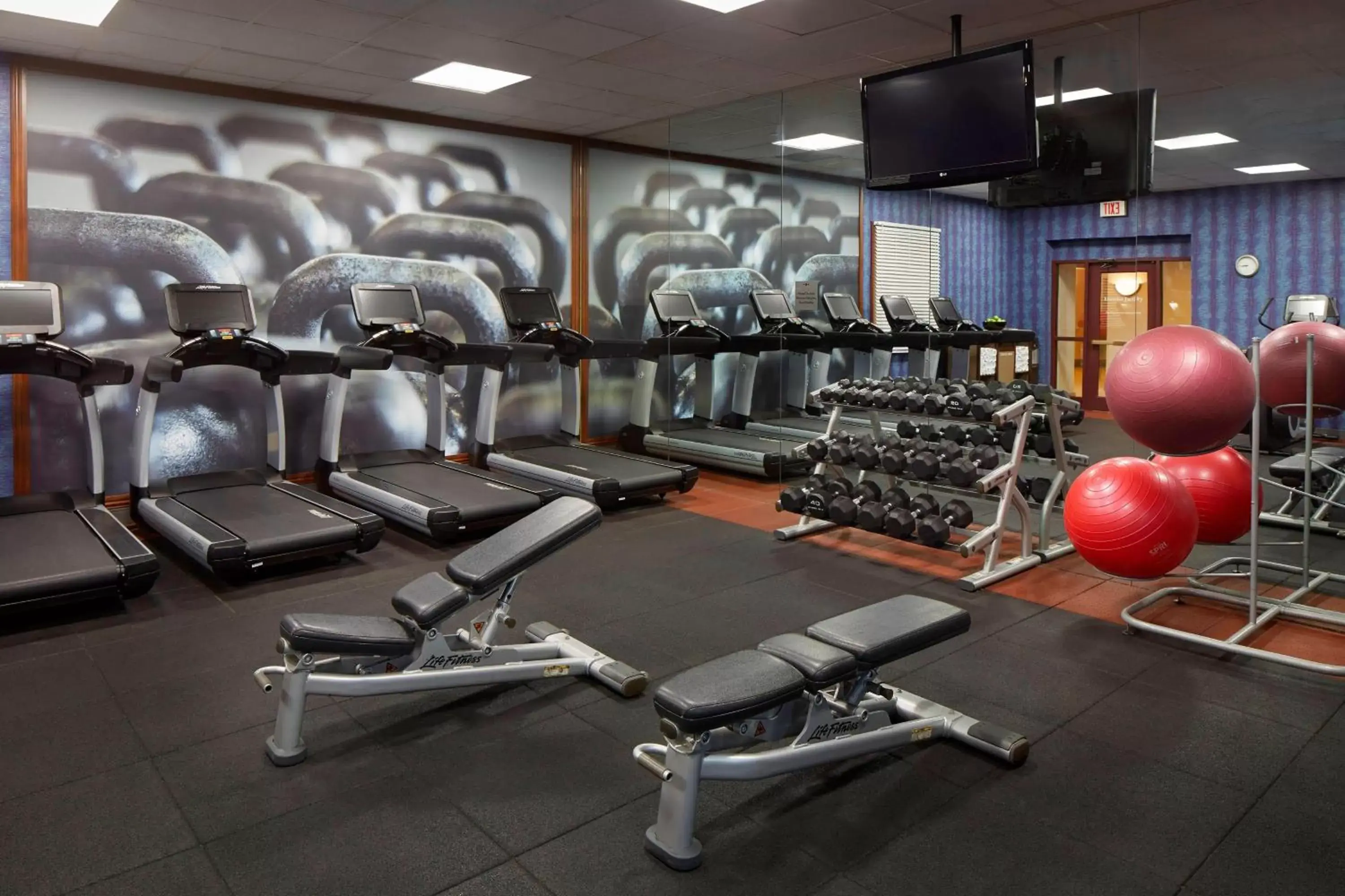 Fitness centre/facilities, Fitness Center/Facilities in Marriott DFW Airport South