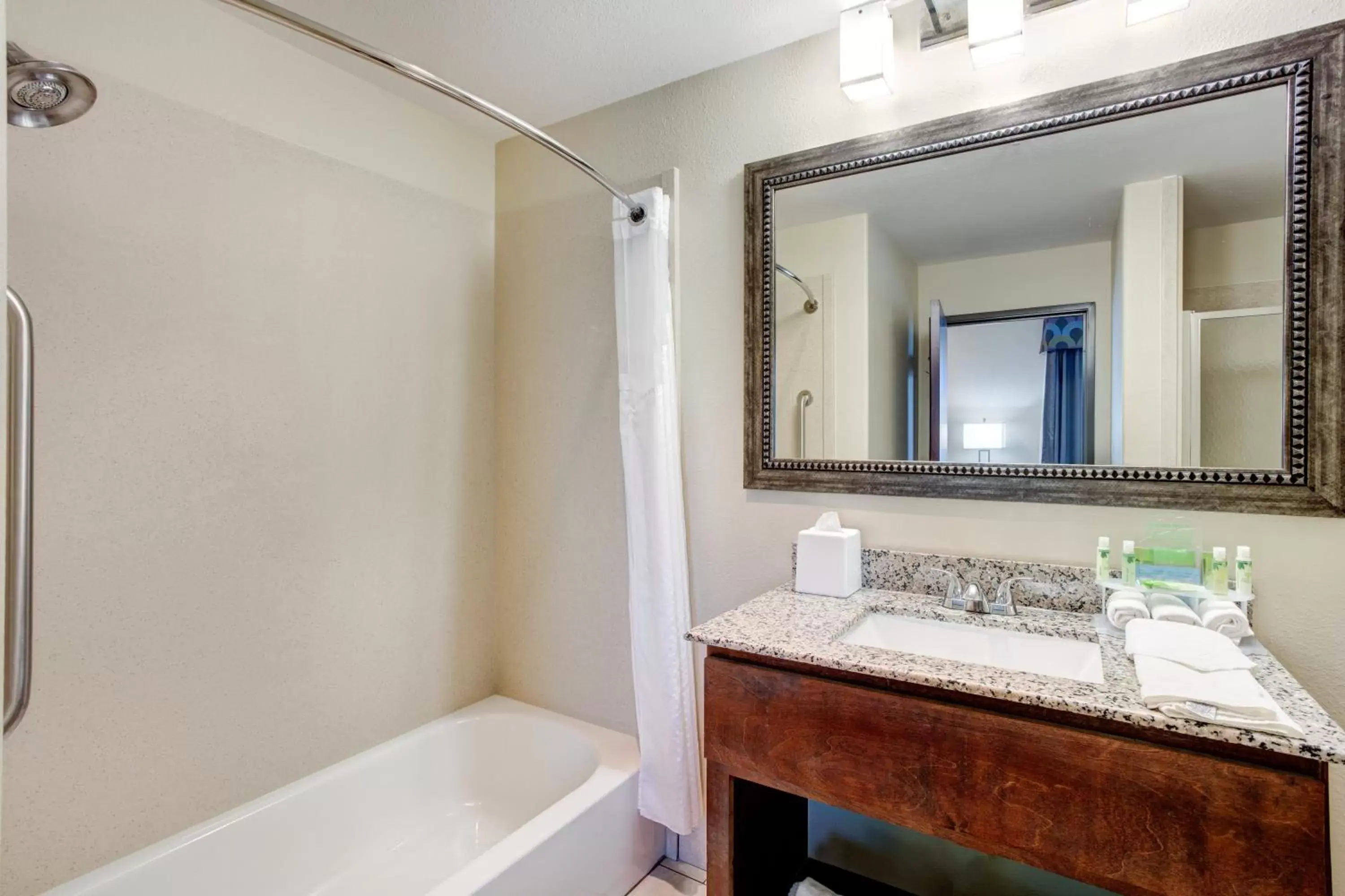 Photo of the whole room, Bathroom in Holiday Inn Express & Suites Raceland - Highway 90, an IHG Hotel