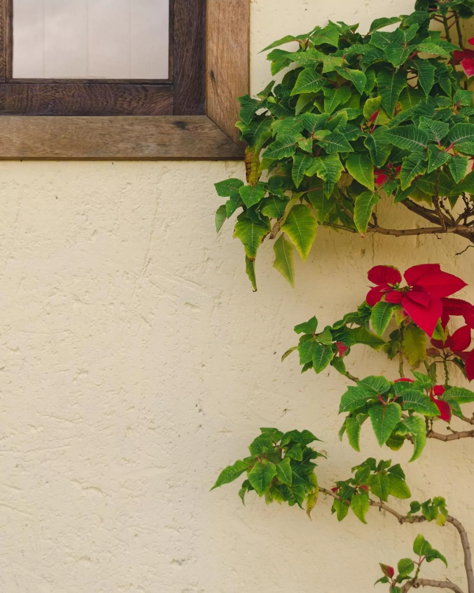 Pousada Ilha da Magia