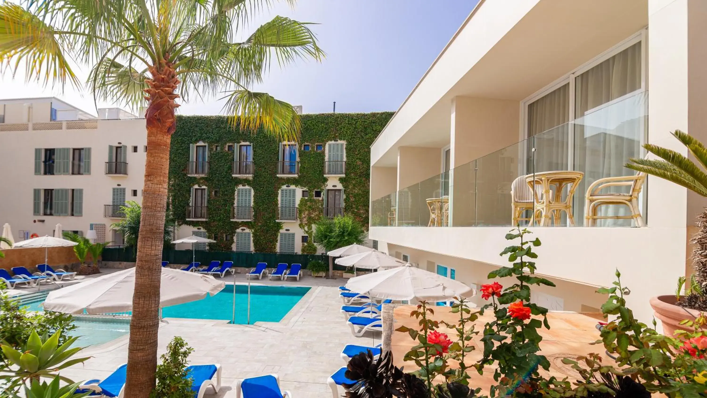 Swimming Pool in Hotel Venecia