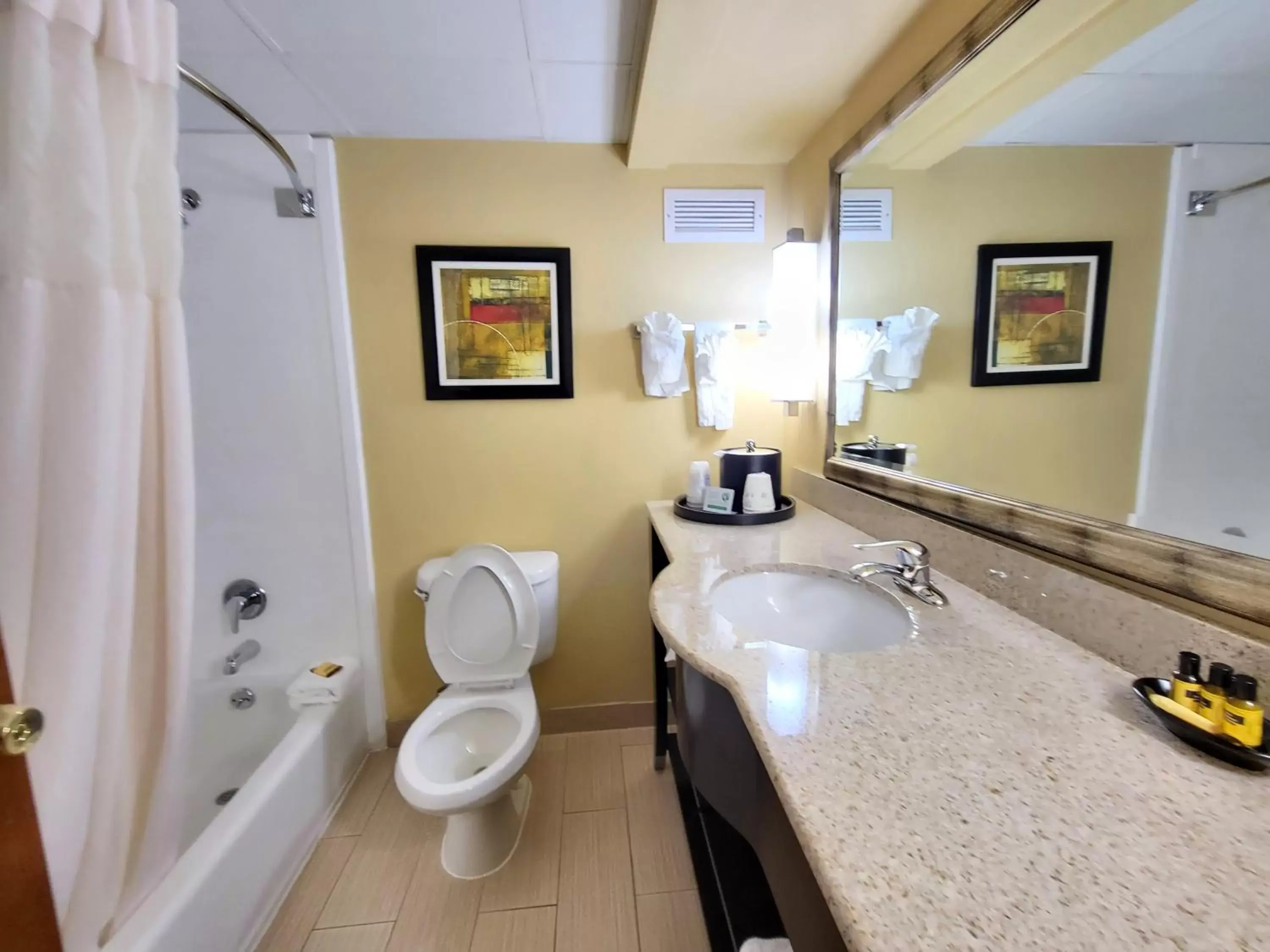 Bathroom in Wingate by Wyndham Greensboro-Coliseum