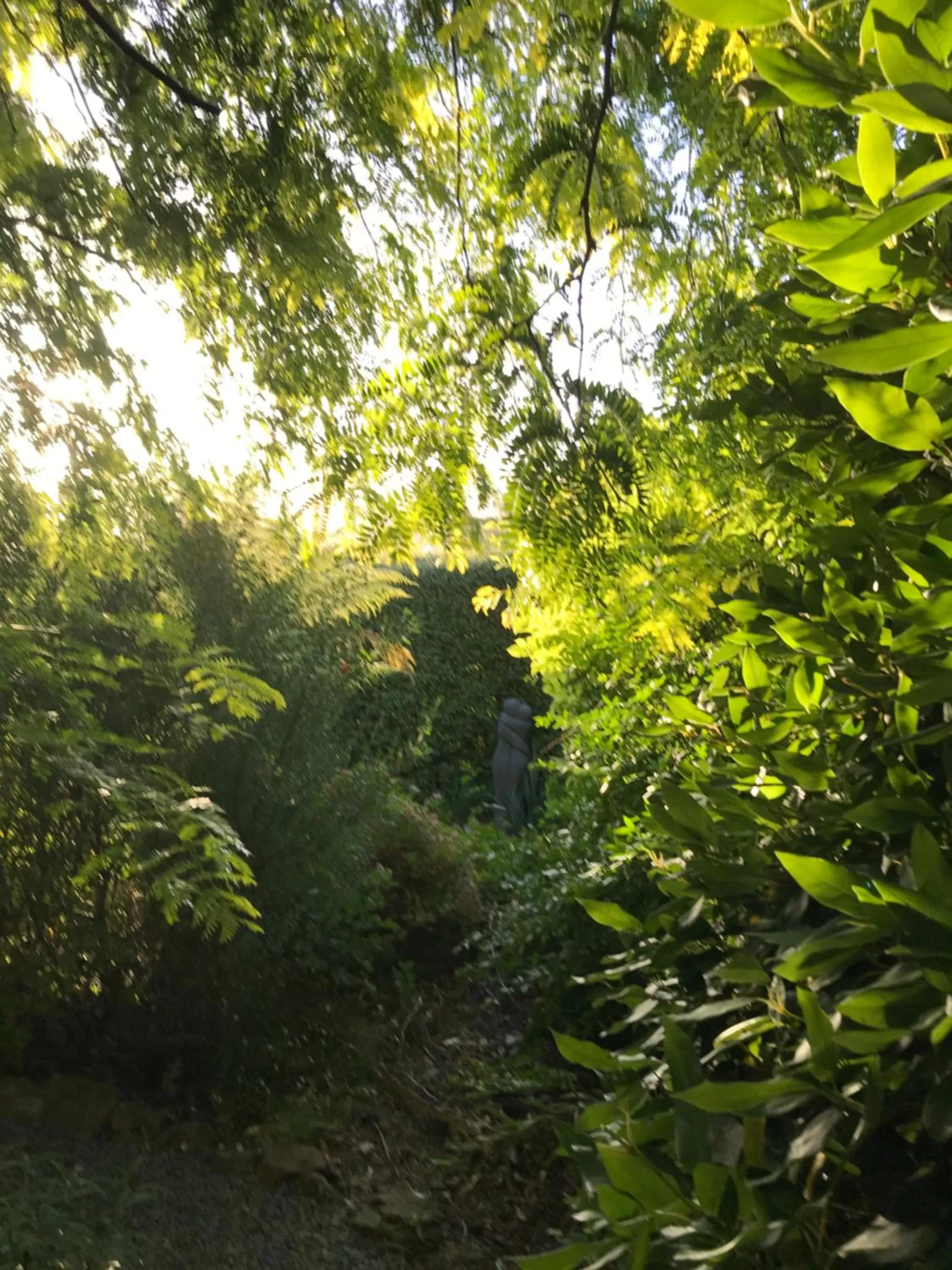 Hillside Bed and Breakfast