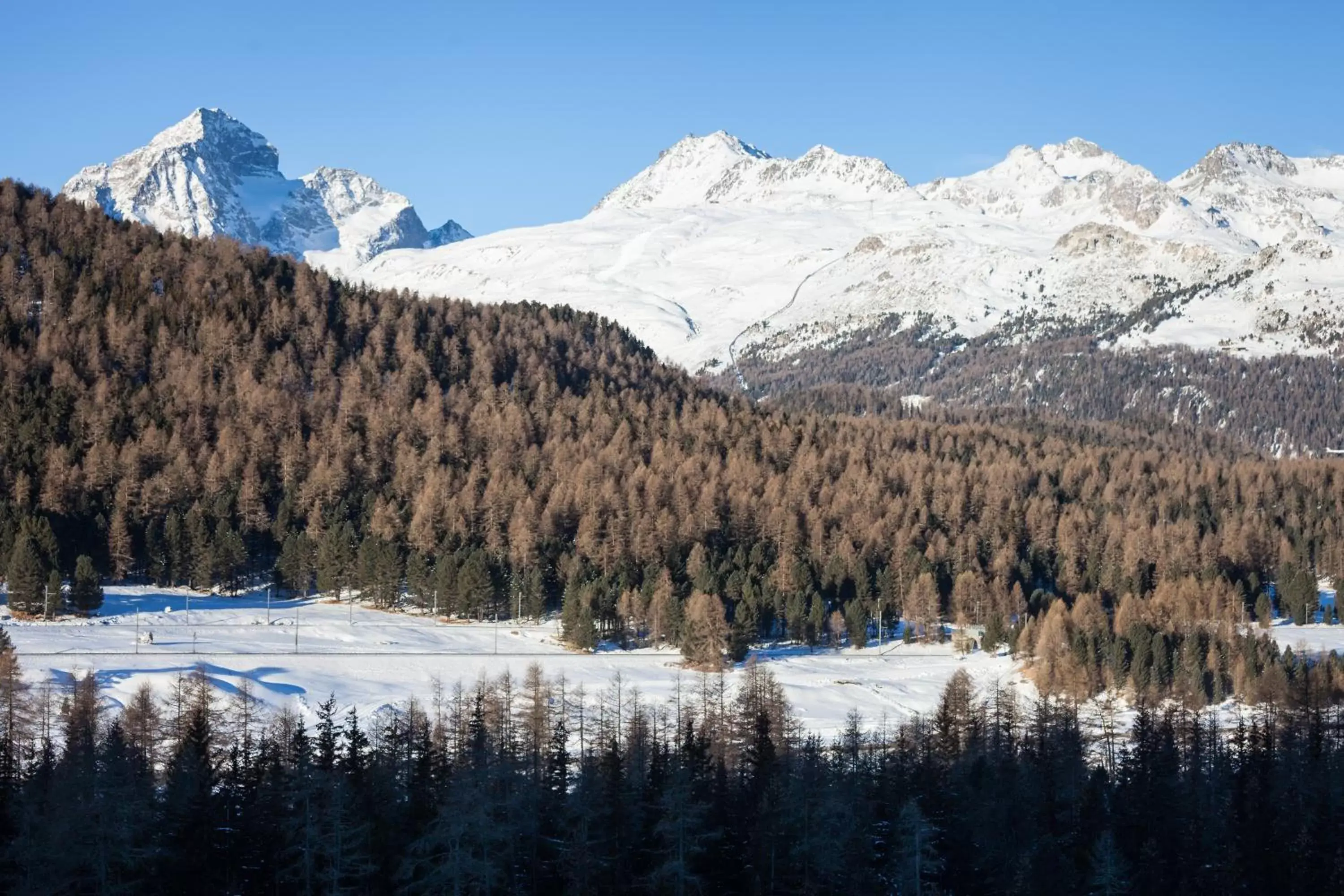 Mountain View in Schloss Hotel & Spa Pontresina