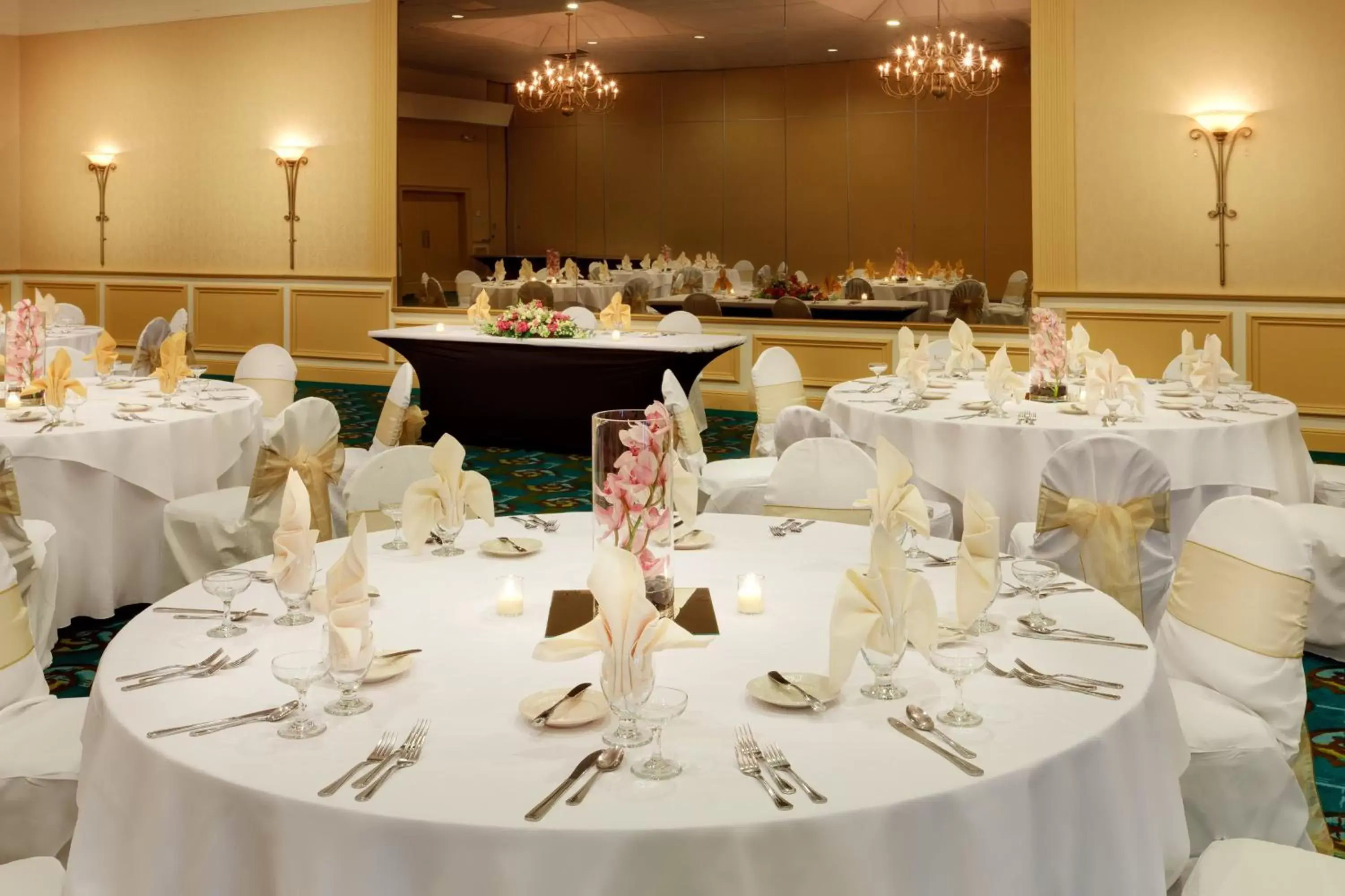 Banquet/Function facilities, Banquet Facilities in Holiday Inn Norwich, an IHG Hotel