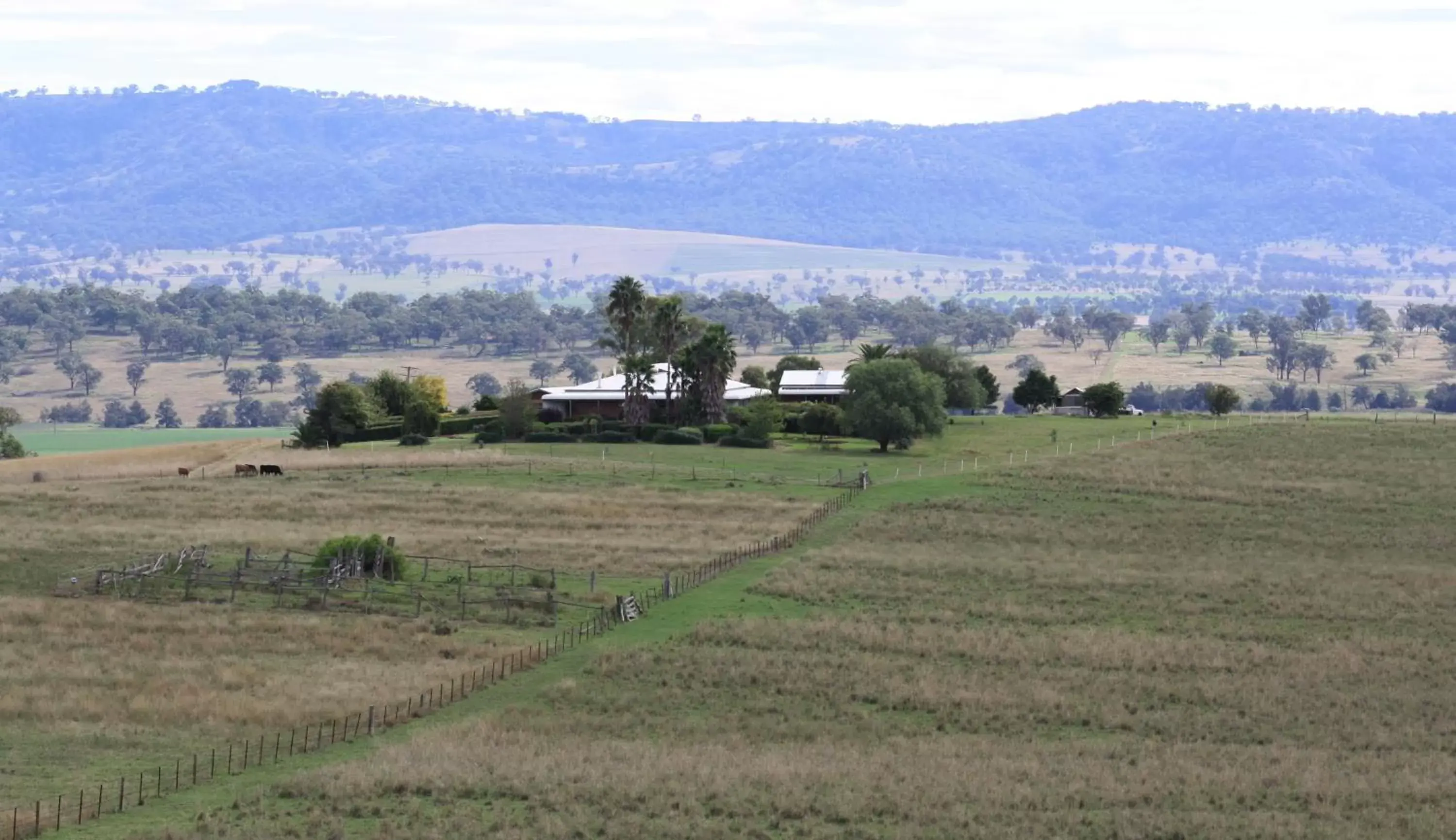 Bird's eye view in Strathearn Park Lodge