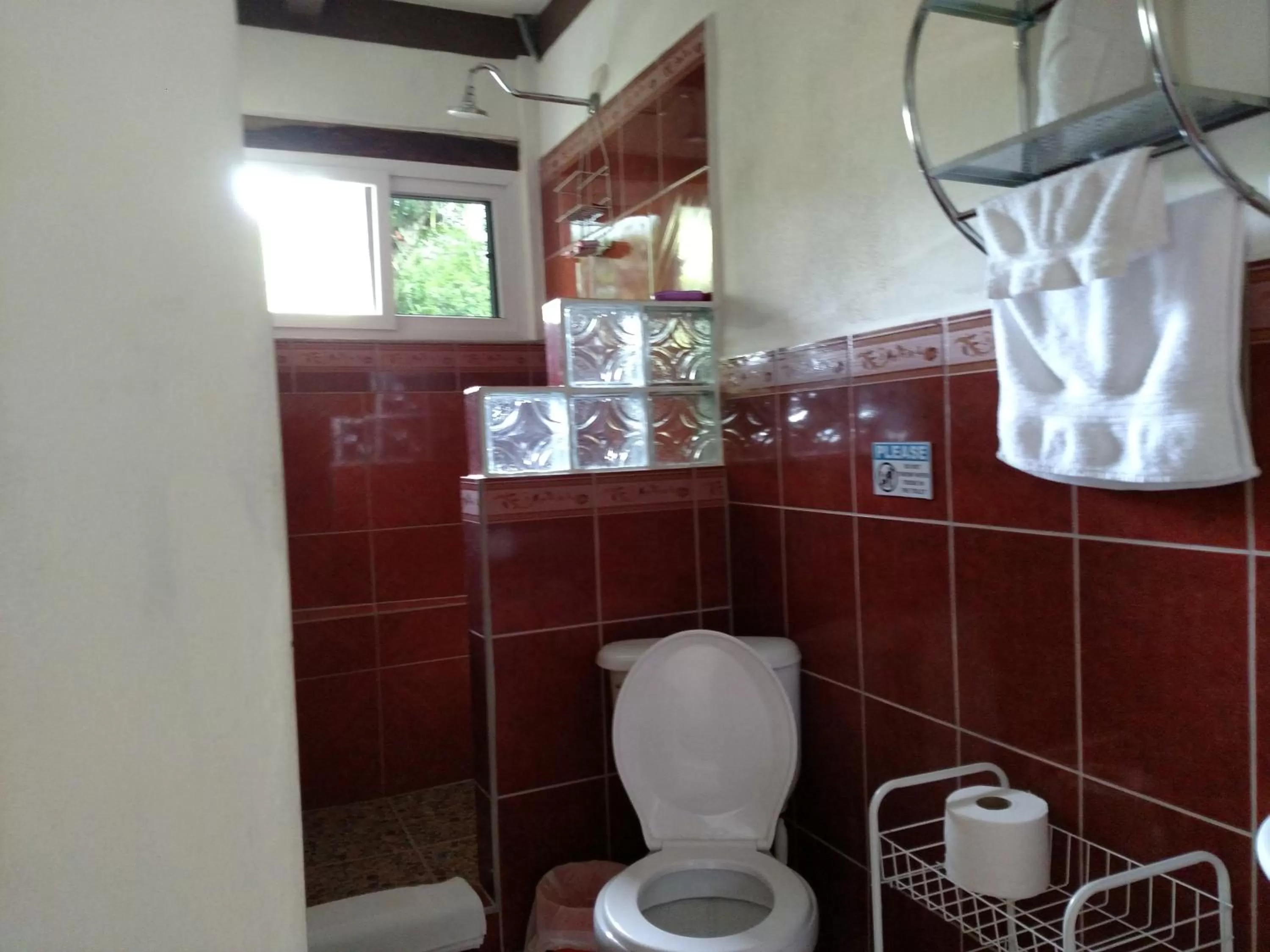 Toilet in Zapote Tree Inn