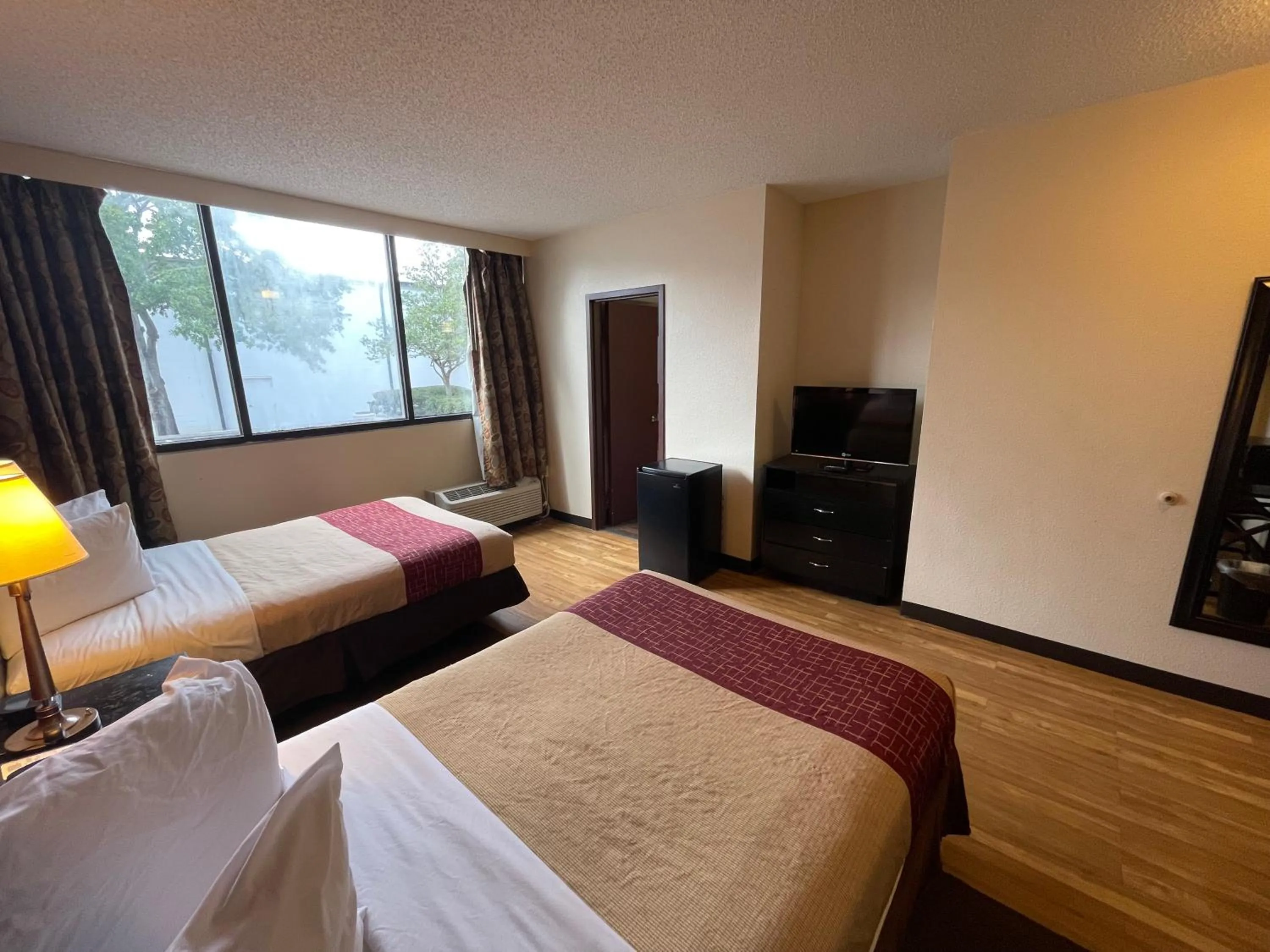 Photo of the whole room in Tropical Palms Hotel