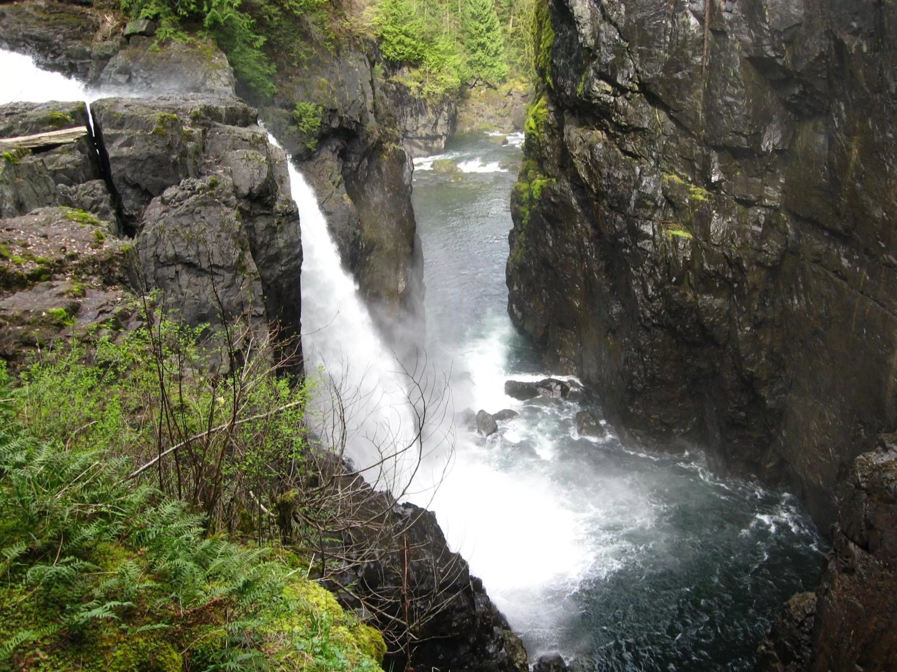 Off site in Money Pennies Bed and Breakfast