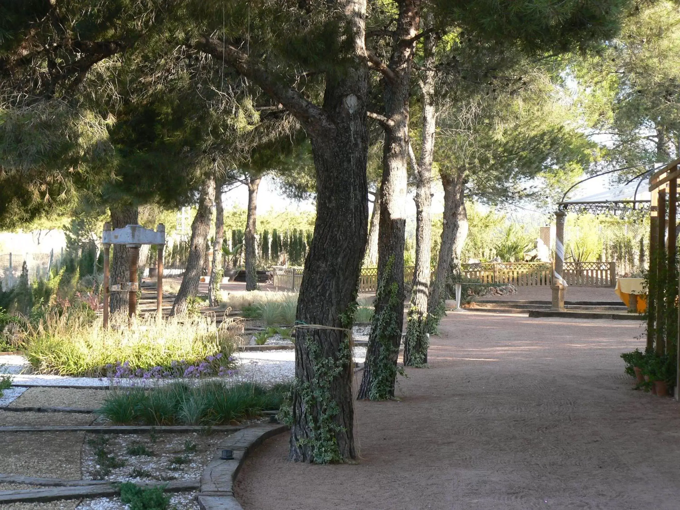 Garden in Hotel Caseta Nova