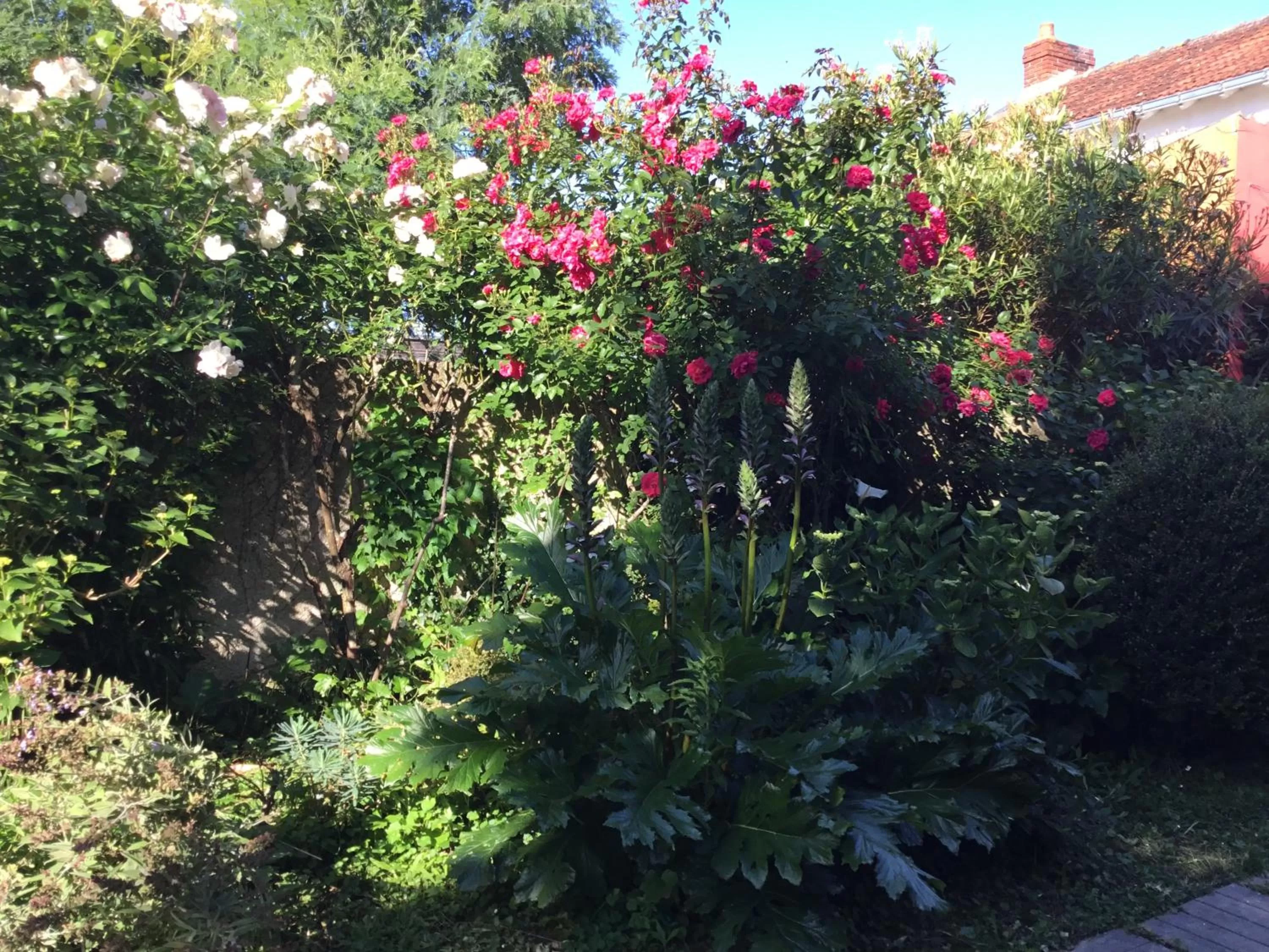 Garden in Maisonnette Nantes