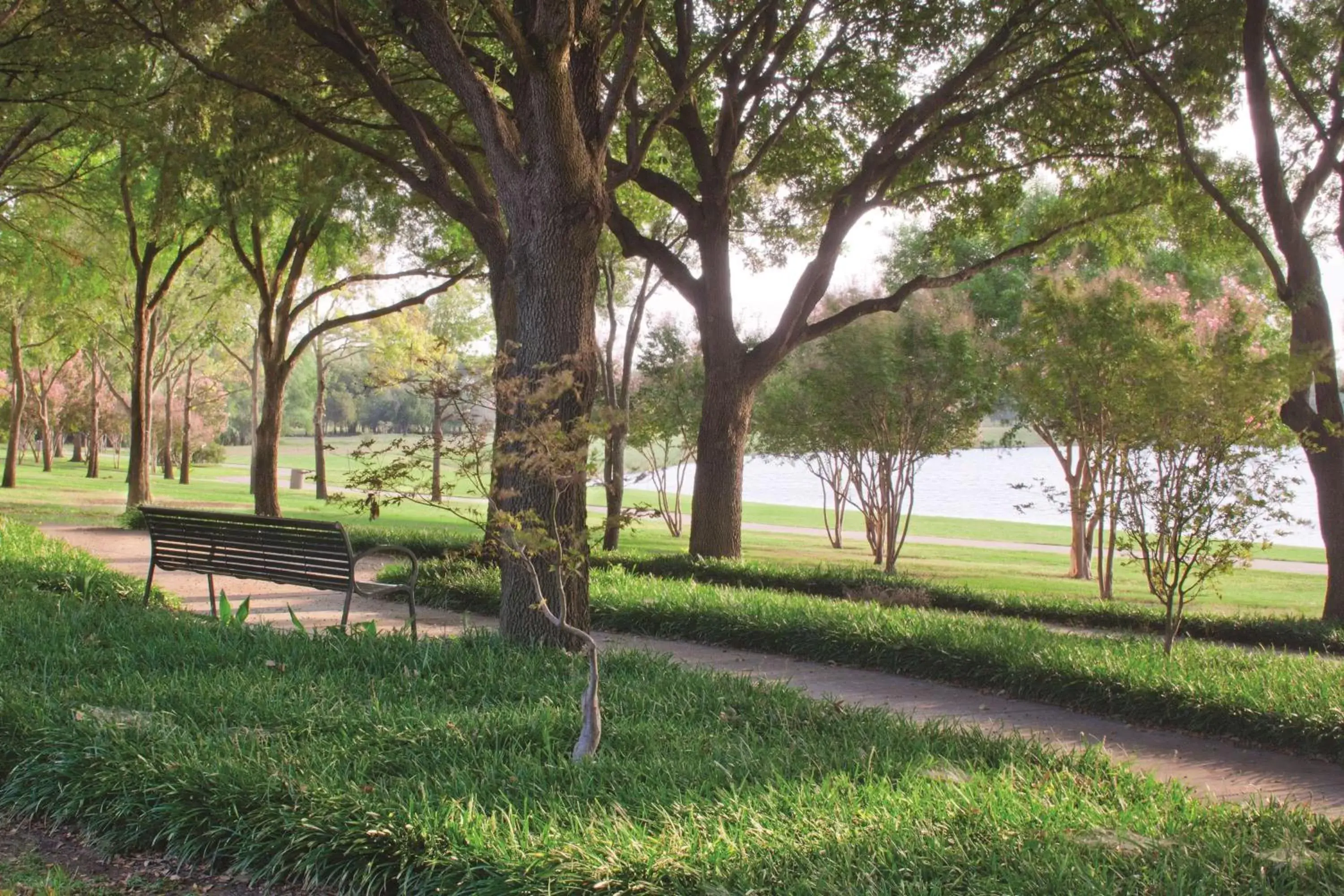 Inner courtyard view, Garden in DoubleTree by Hilton Dallas-Farmers Branch