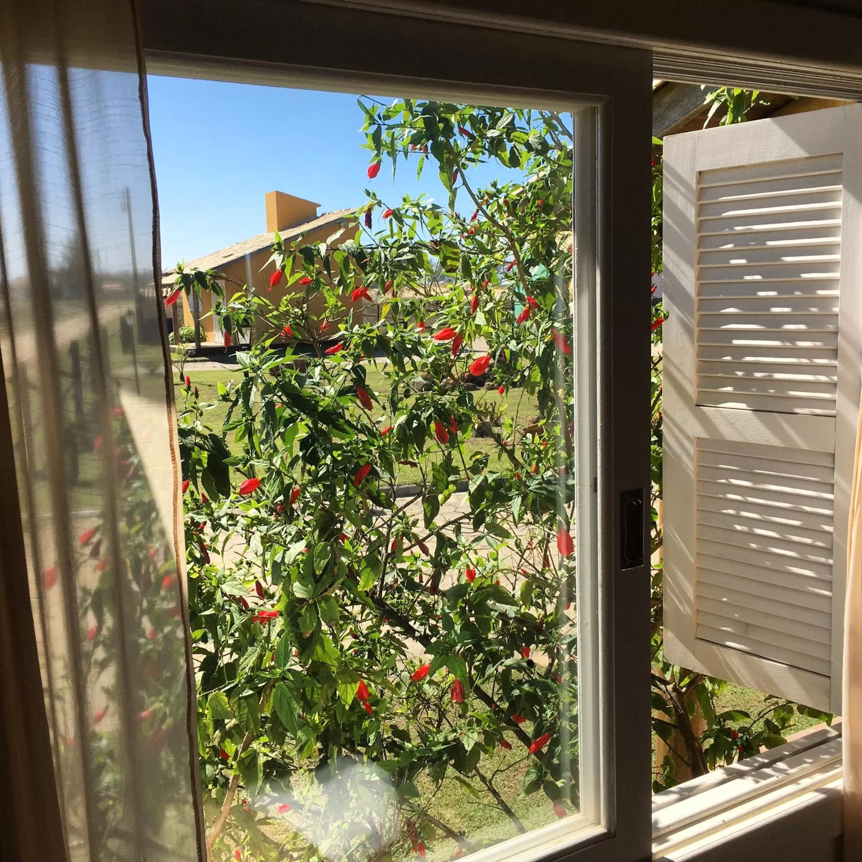 Garden in Pousada dos Sambaquis