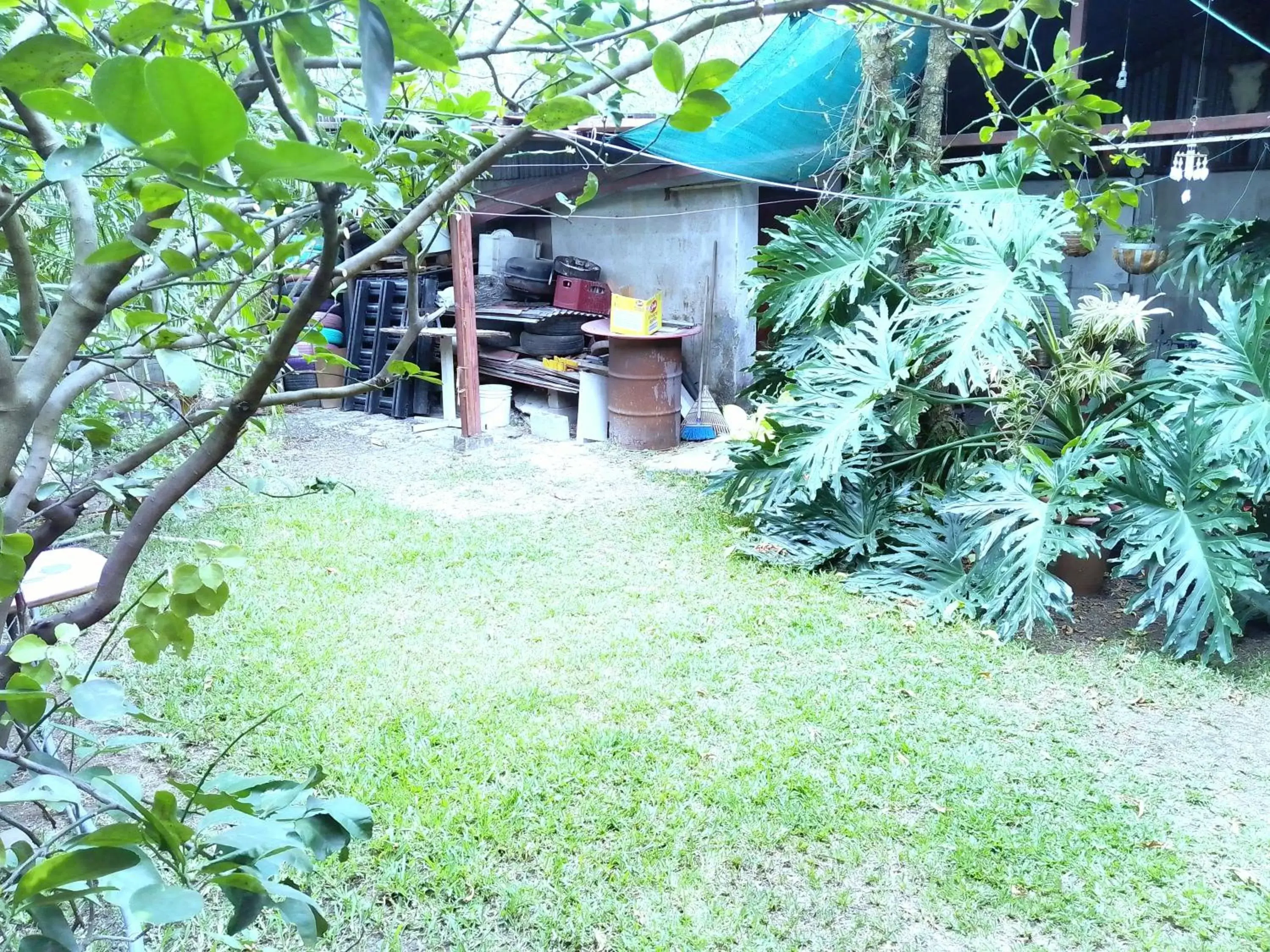 Garden, Property Building in Alexander b&b