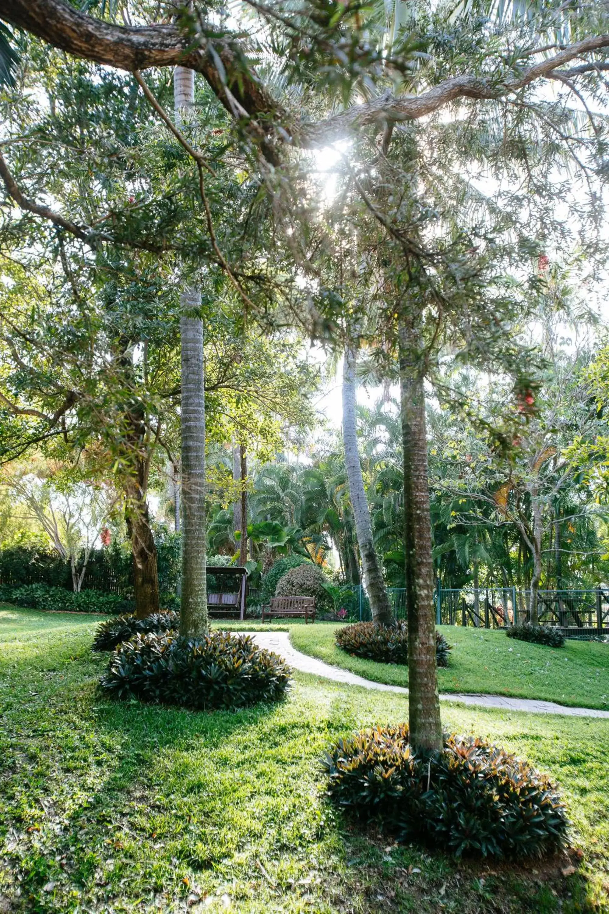 Garden in City Oasis Inn