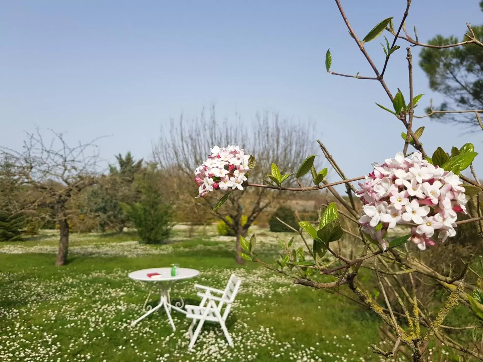 Garden in Domaine de Pelouaille - chambre d'hôtes