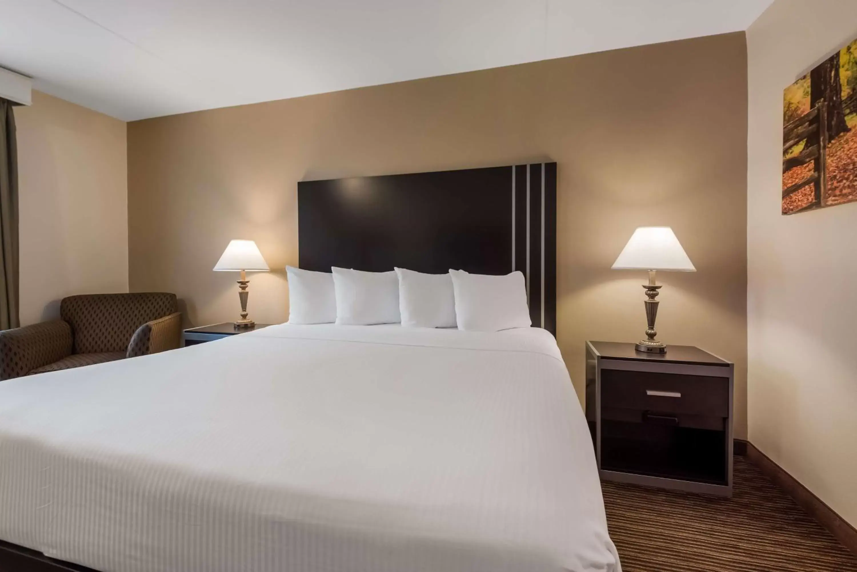 Bedroom, Bed in Best Western Philadelphia South - West Deptford Inn