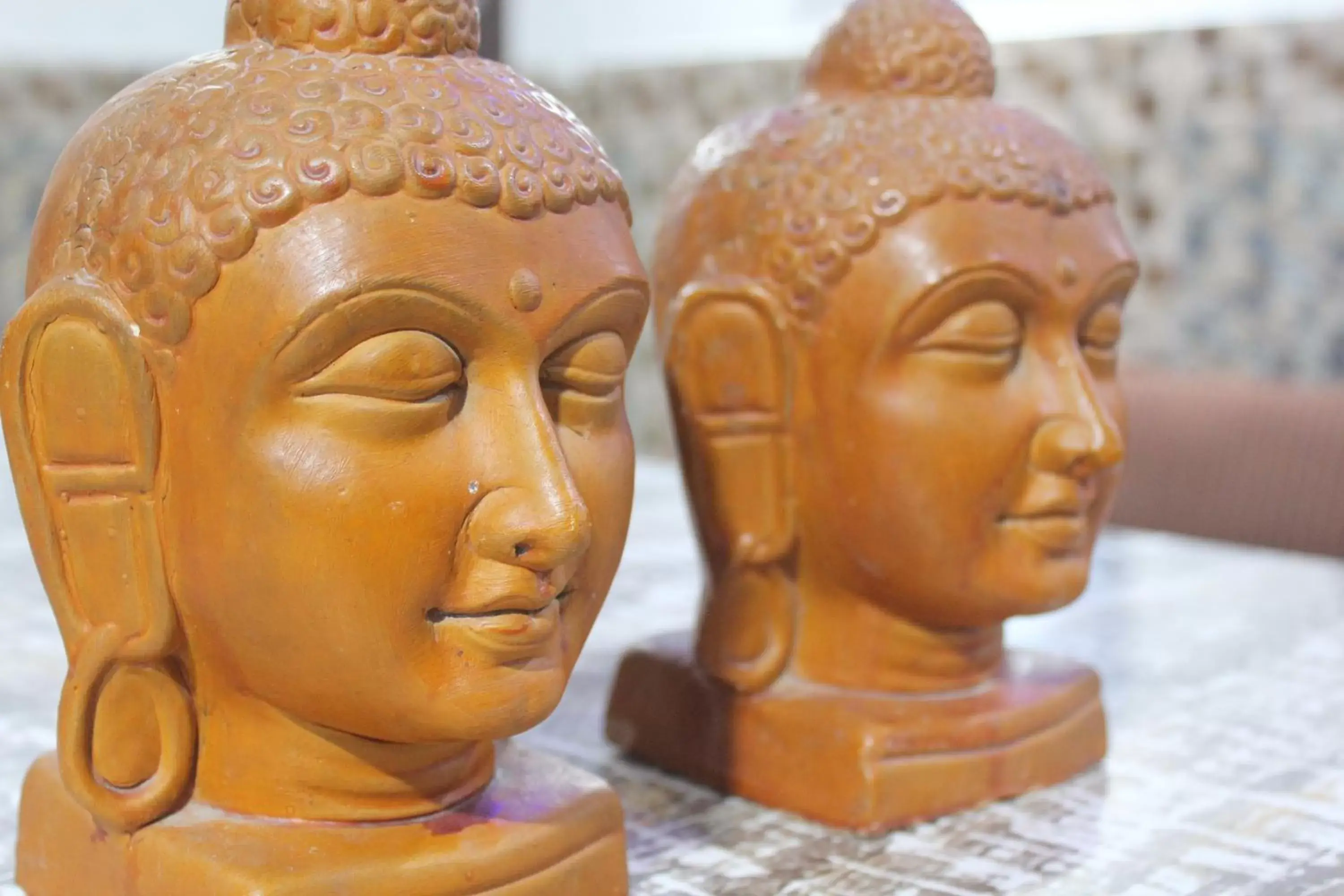 Property building in Trimrooms @ Katra Railway Station Property building in Trimrooms @ Katra Railway Station