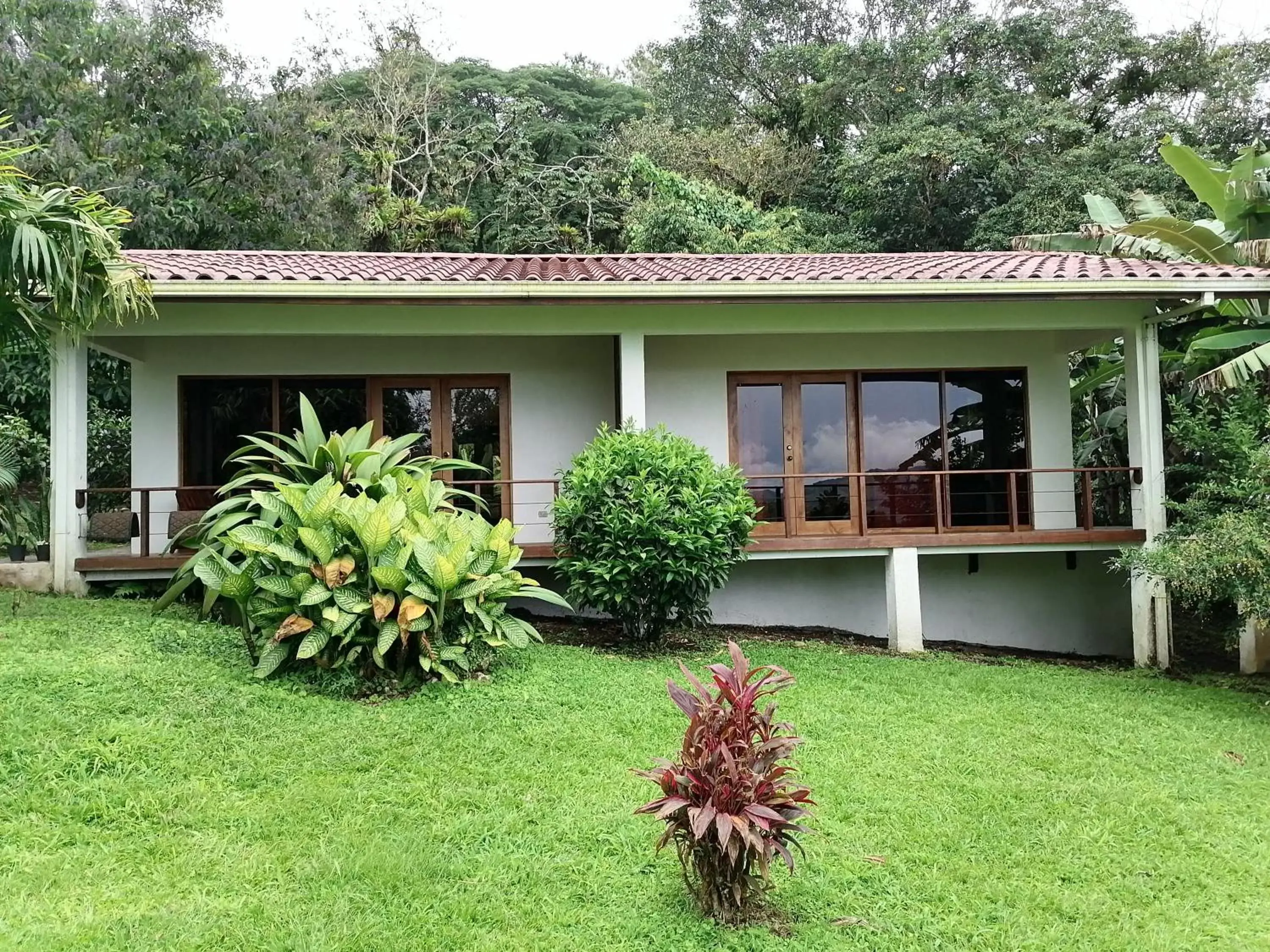 Property building in La Ceiba Tree Lodge