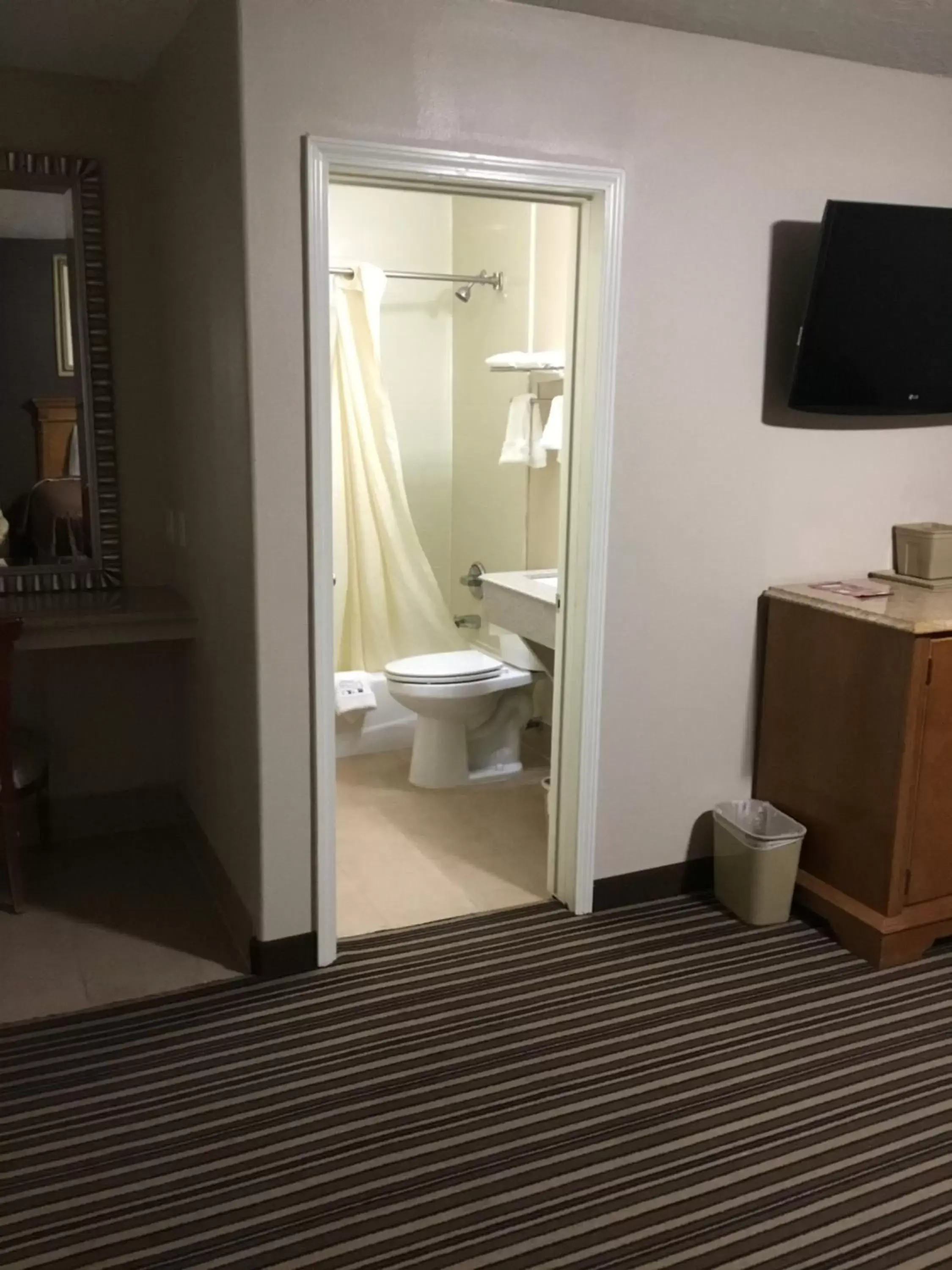 Toilet, Bathroom in Executive Inn Snyder