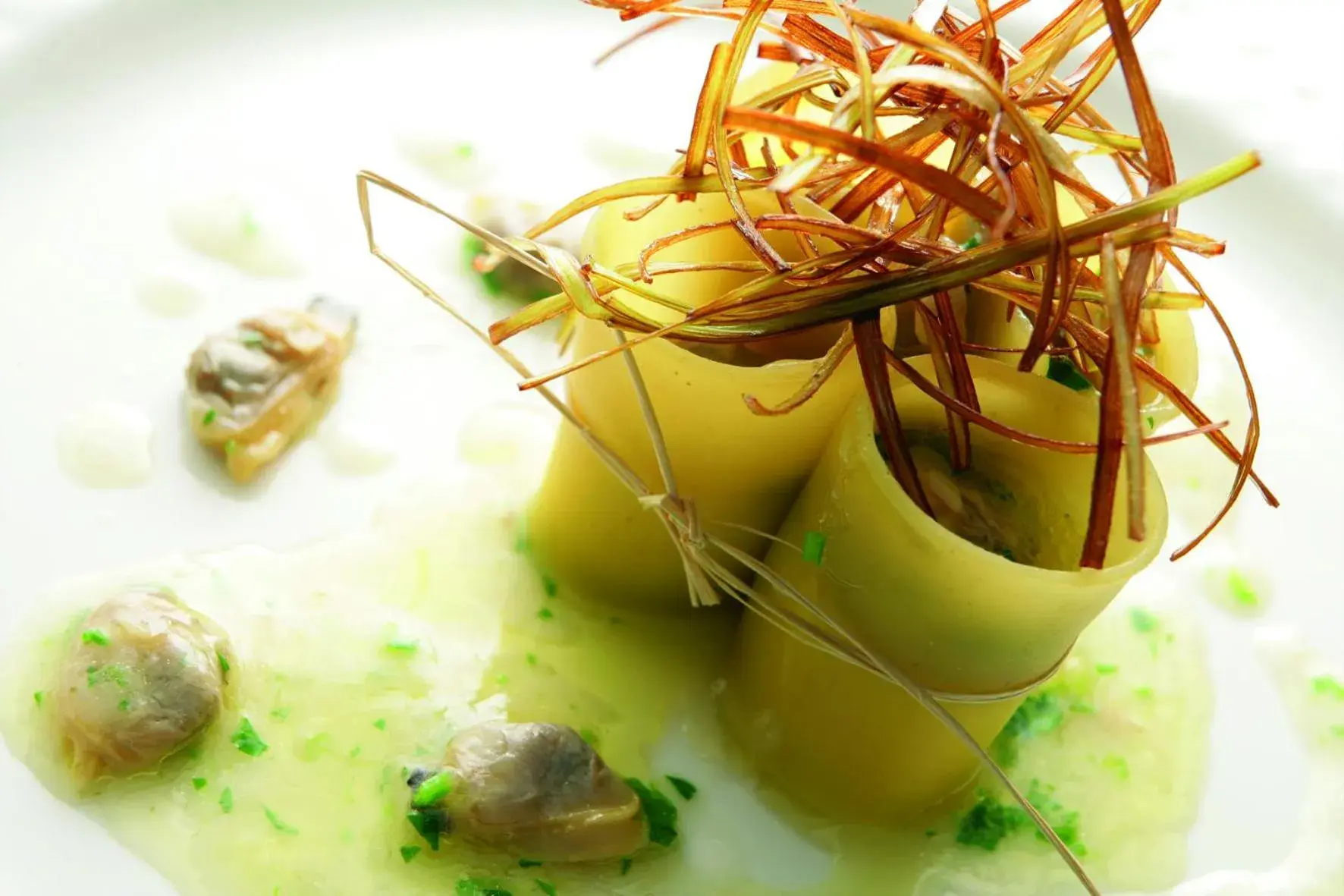 Restaurant/places to eat in Hotel Raito Wellness & SPA Restaurant/places to eat in Hotel Raito Wellness & SPA