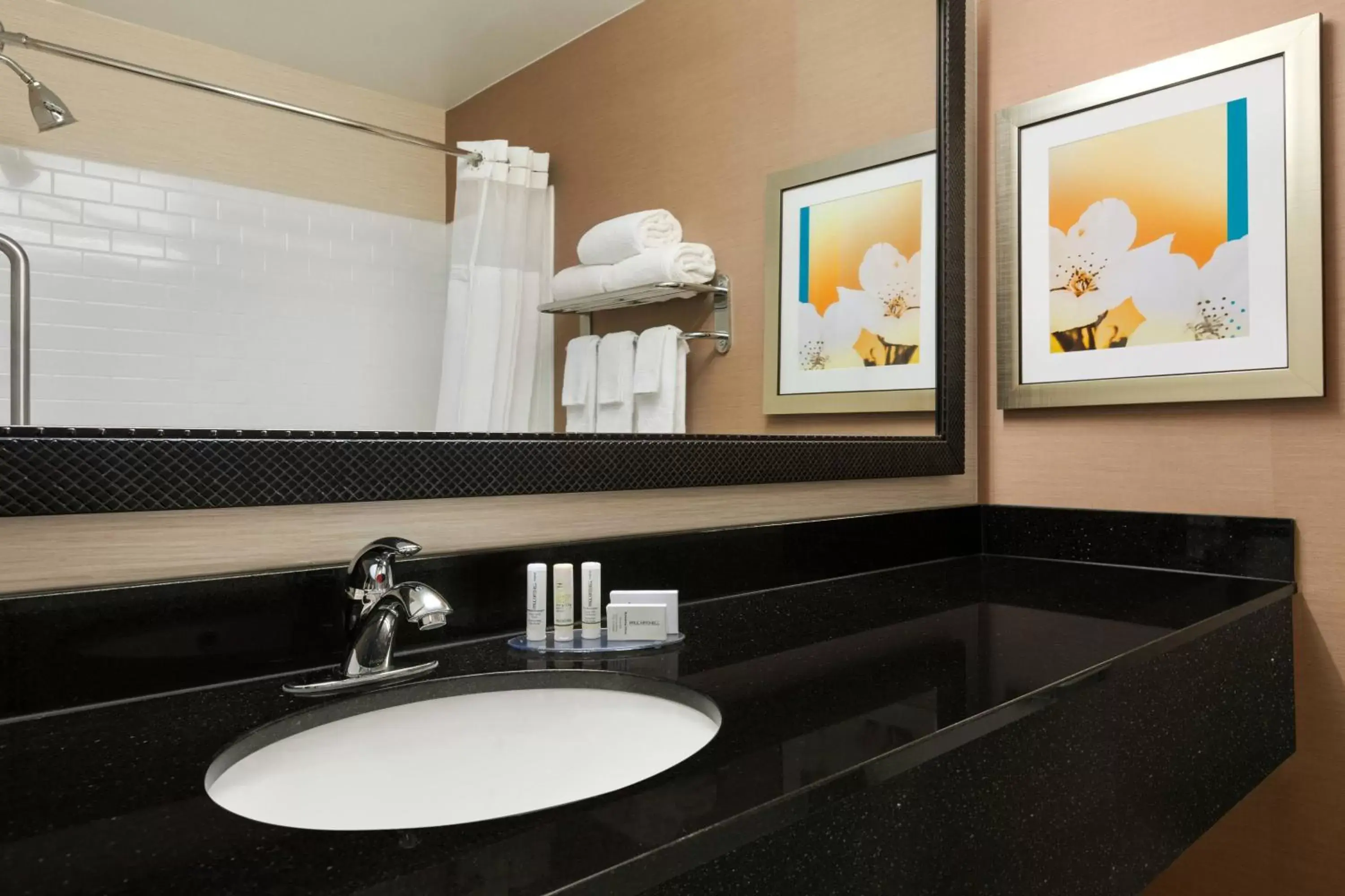 Bathroom in Fairfield Inn & Suites Omaha East/Council Bluffs, IA