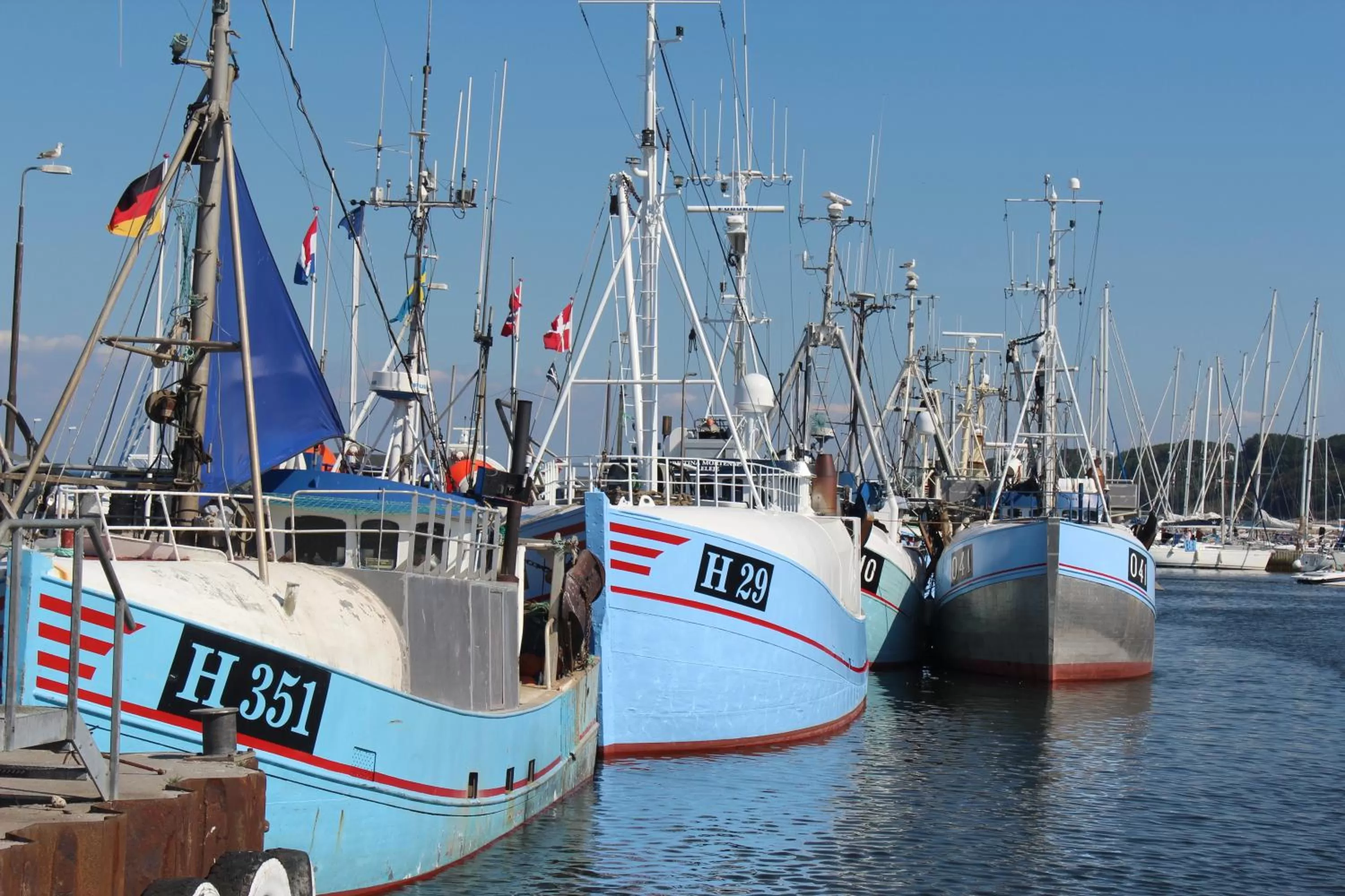 Area and facilities in Kysthusene Gilleleje