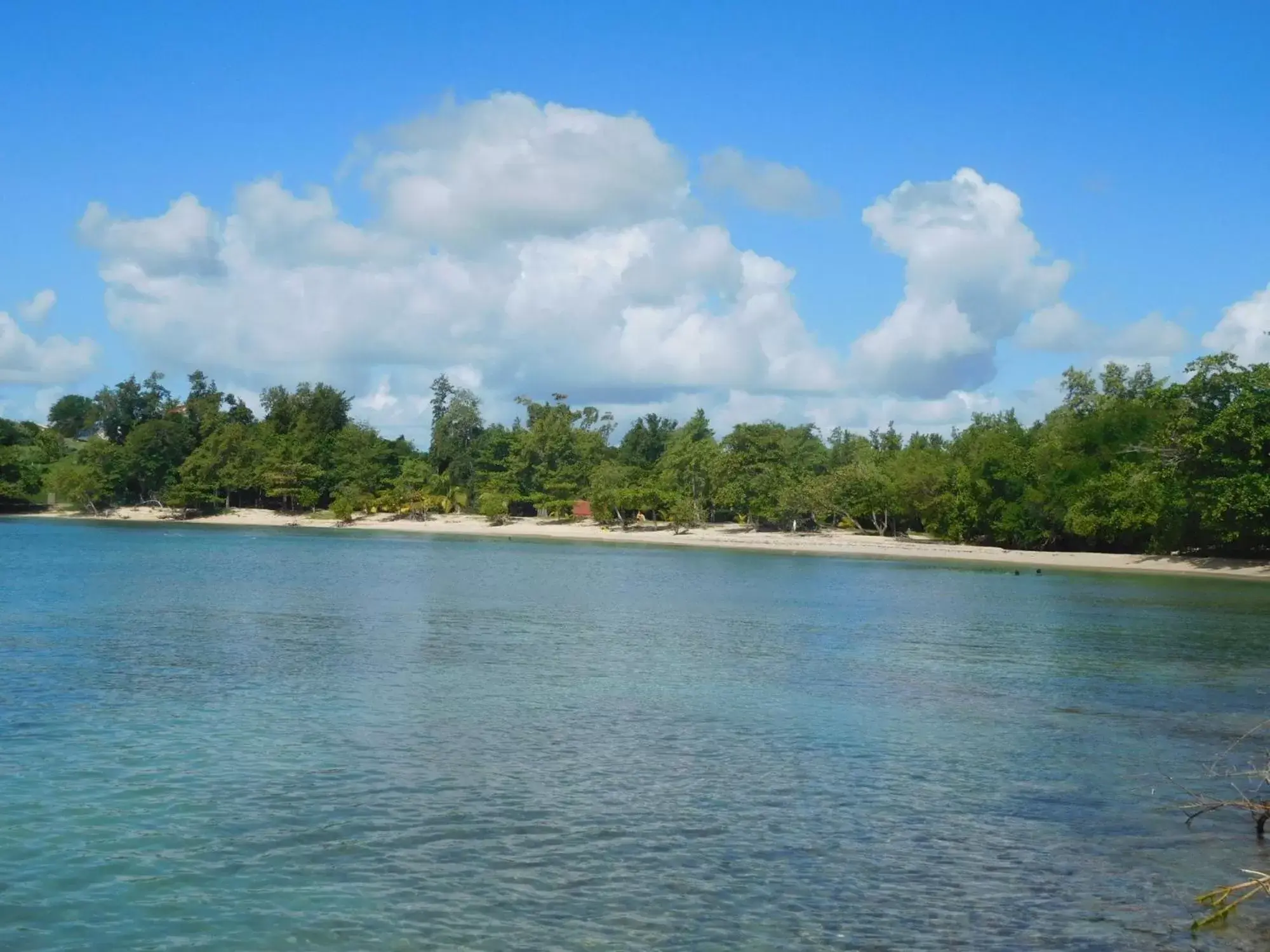 Beach in Hotel ILOMA Corail Residence