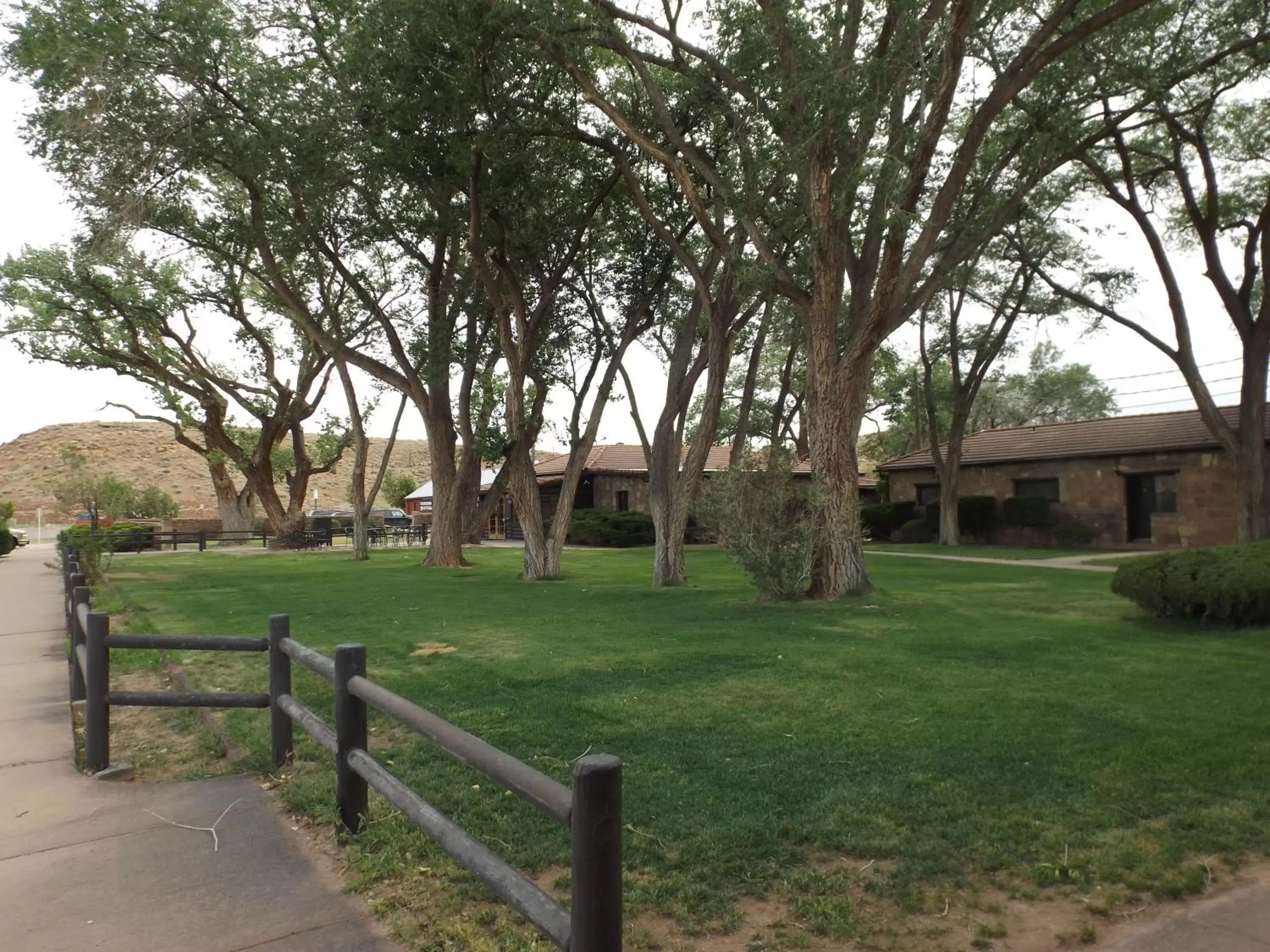 Garden in Thunderbird Lodge