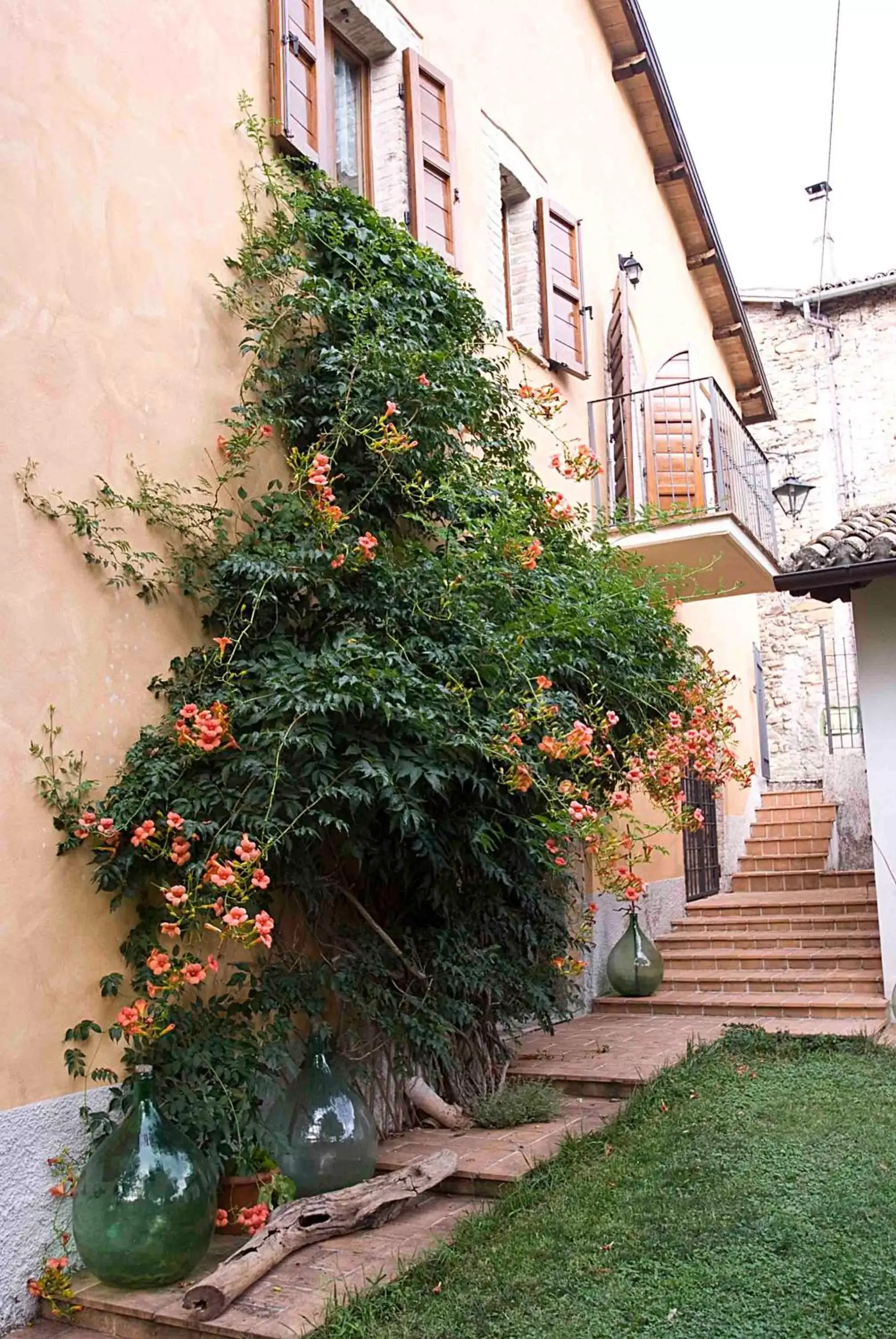 Property building, Patio/Outdoor Area in Casale del Monsignore