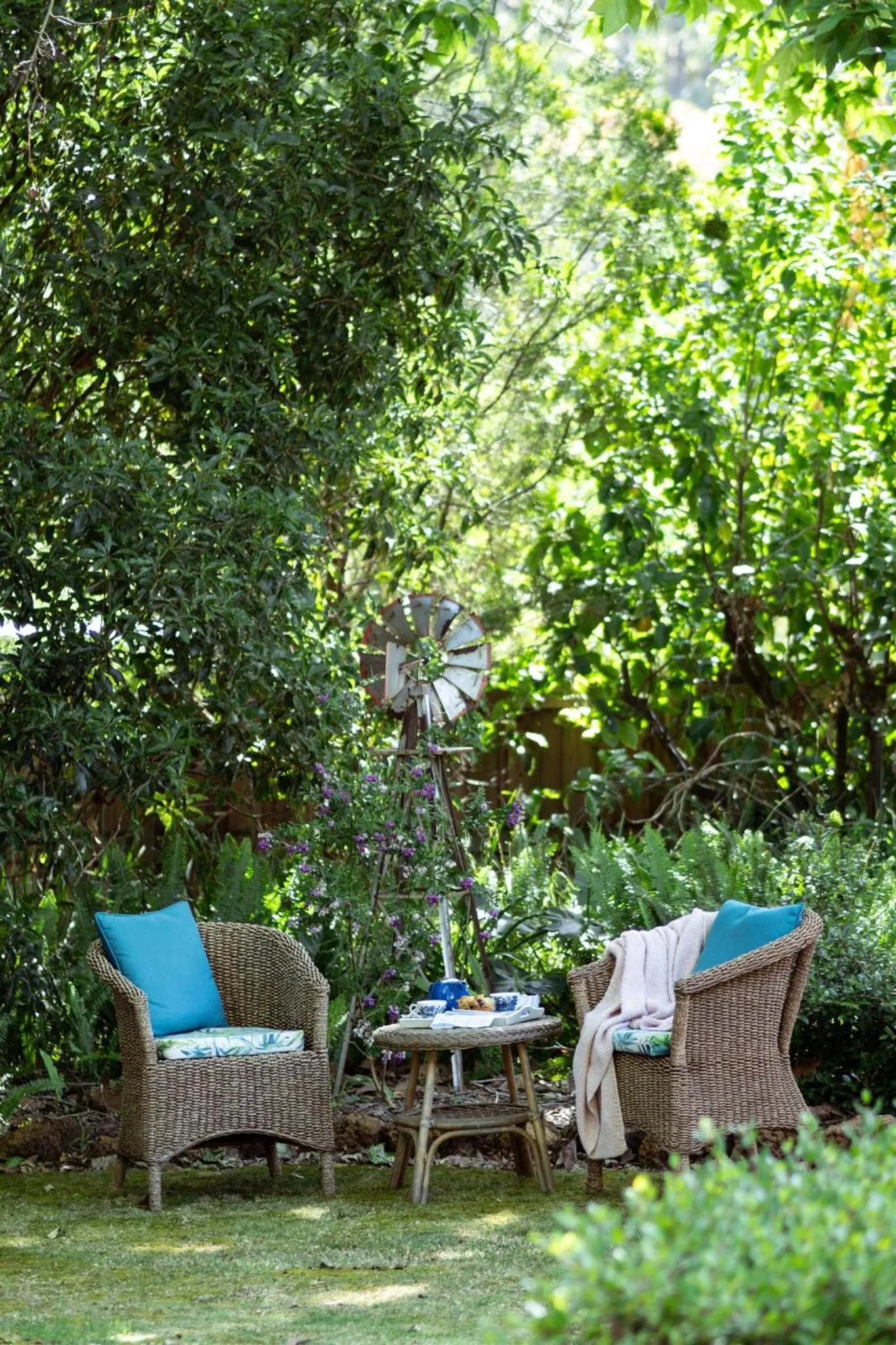 Garden in The Noble Grape Guesthouse