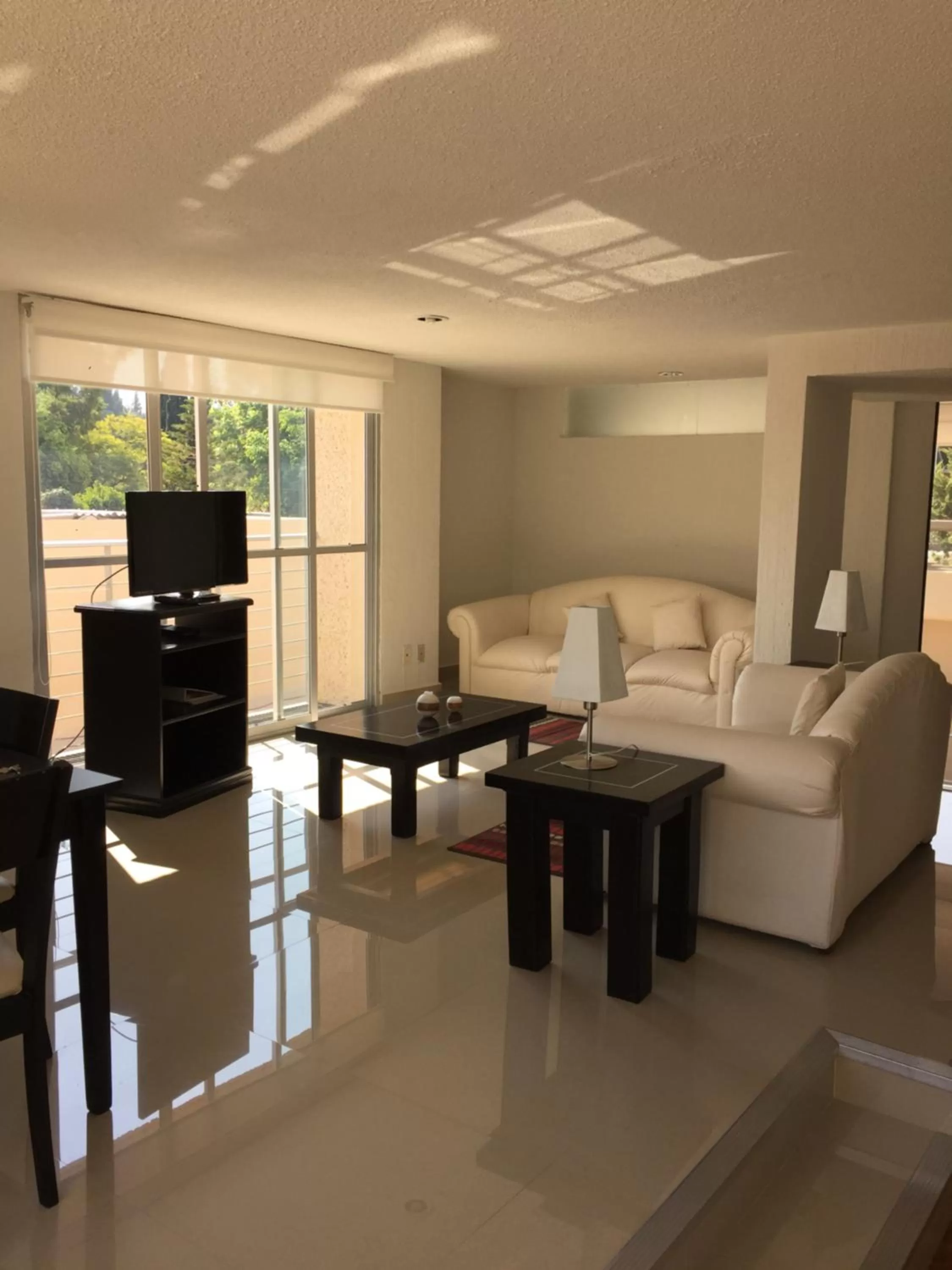 Living room in Bosque de Magnolias 93