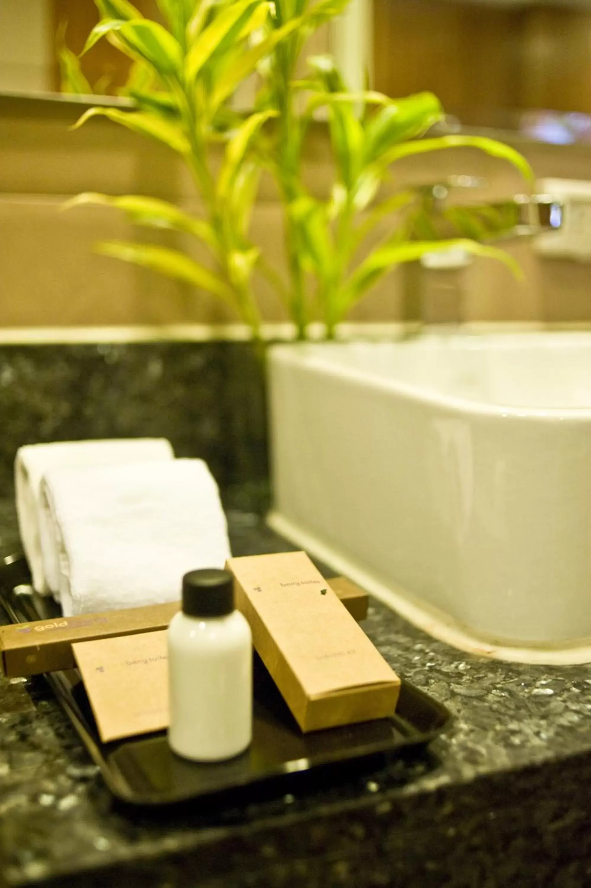 Bathroom in Goldberry Suites and Hotel - Mactan