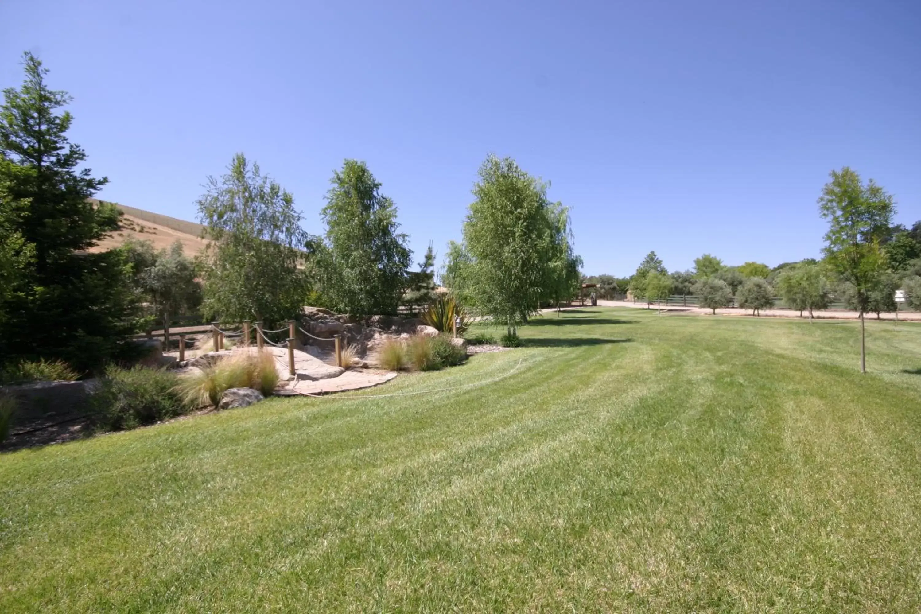 BBQ facilities, Garden in The Eden House Vineyard