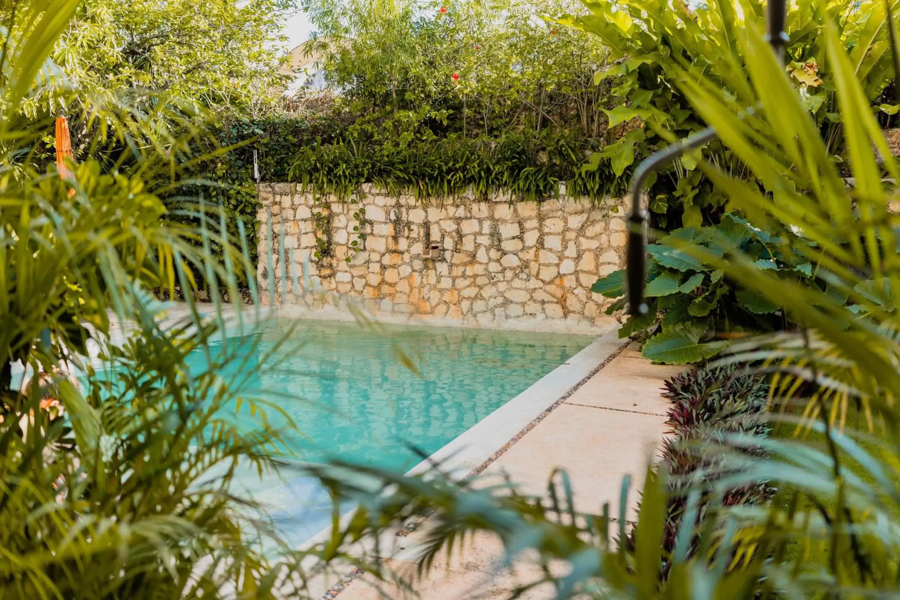 Swimming Pool in Hotel Posada San Juan