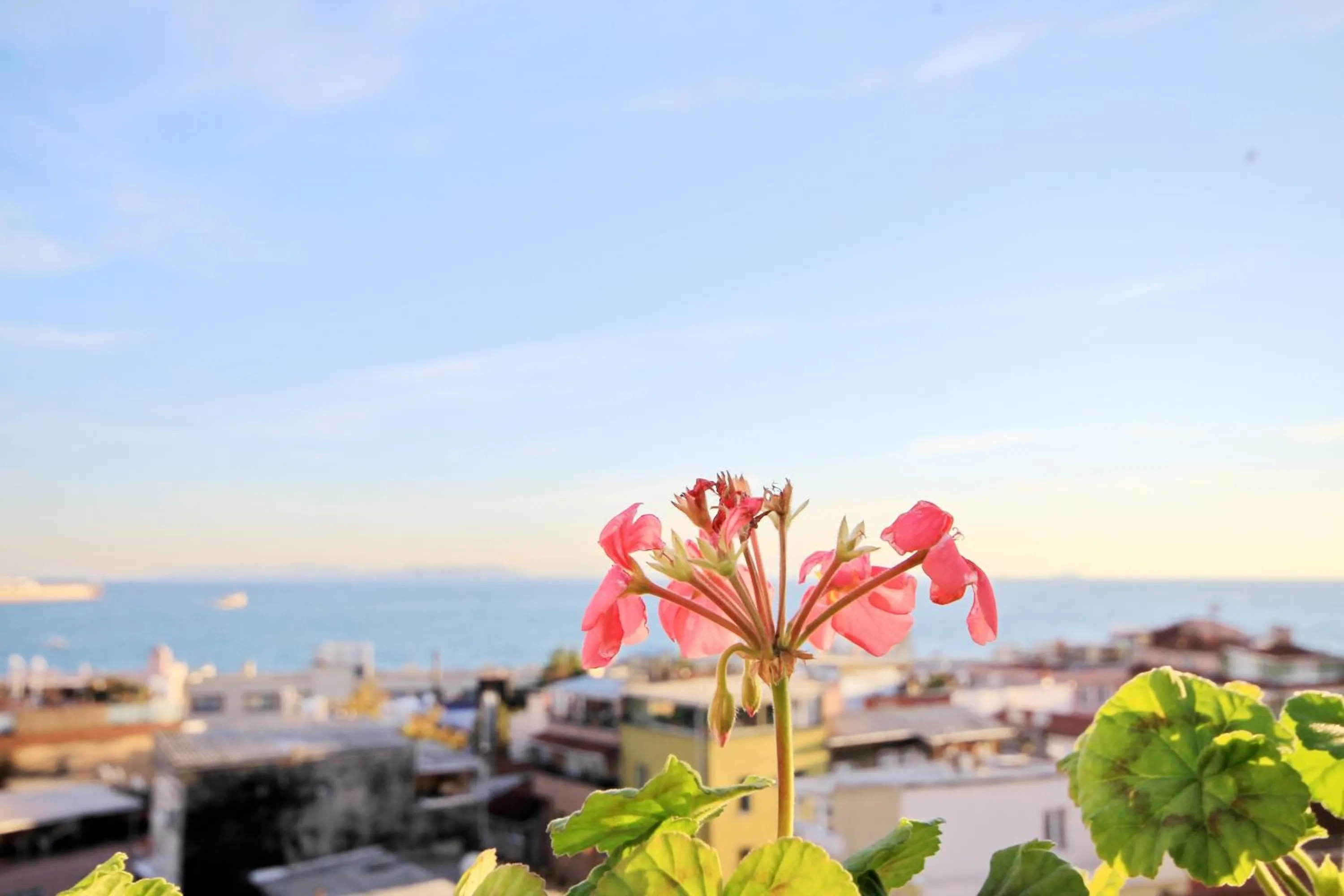 View (from property/room) in Hotel Historia-Special Category