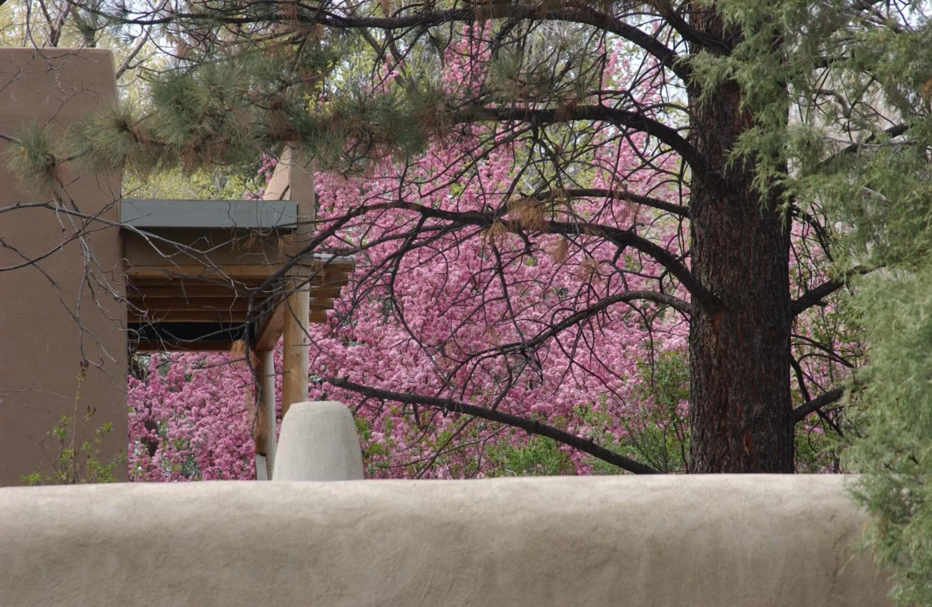 Property building in Touchstone Inn