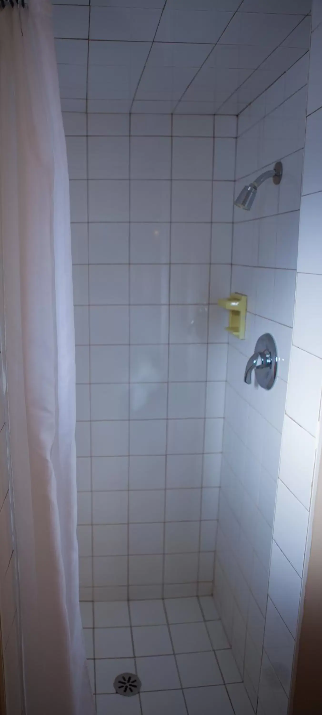 Shower, Bathroom in Revelstoke Lodge