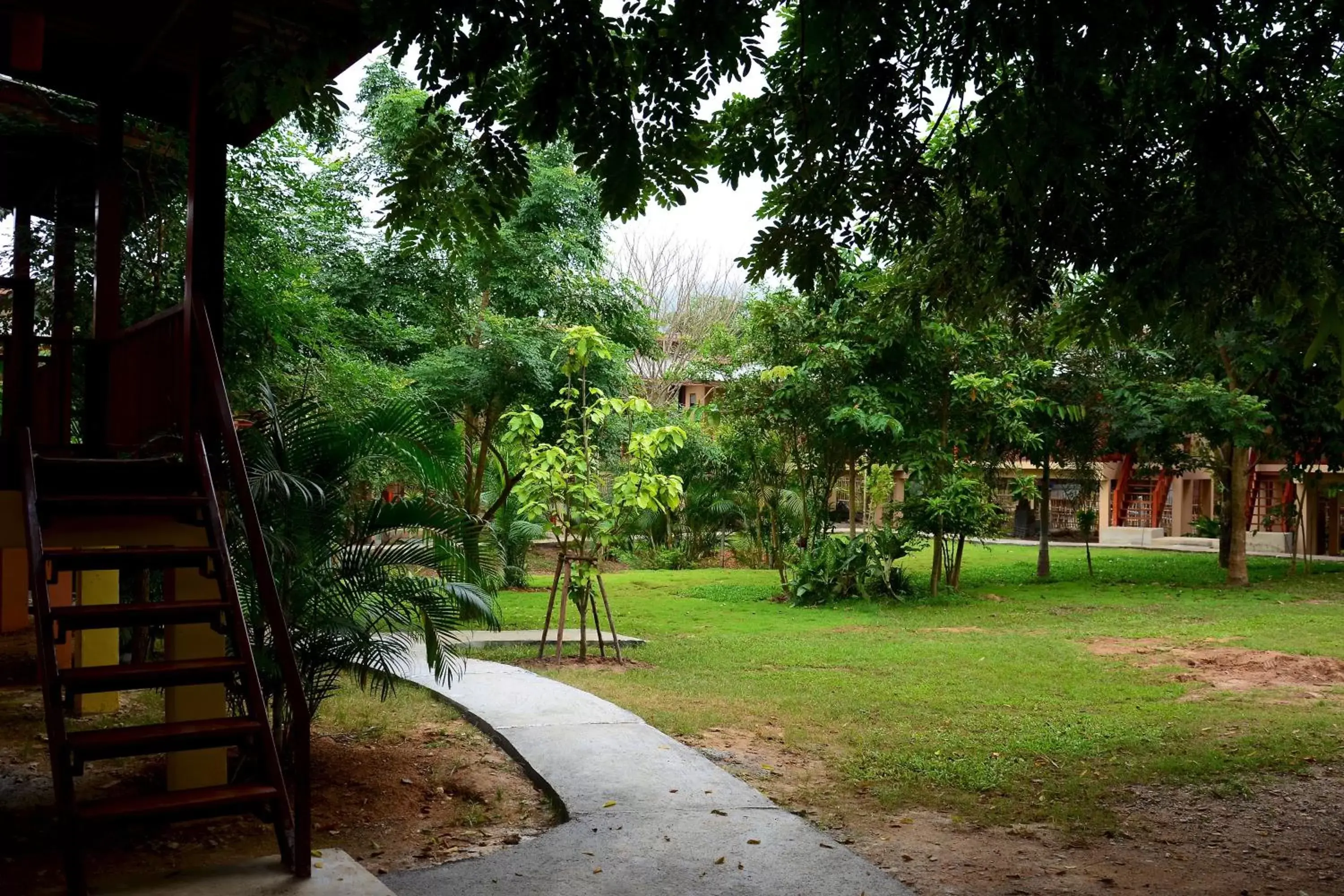 Garden view in Pai Loess Resort