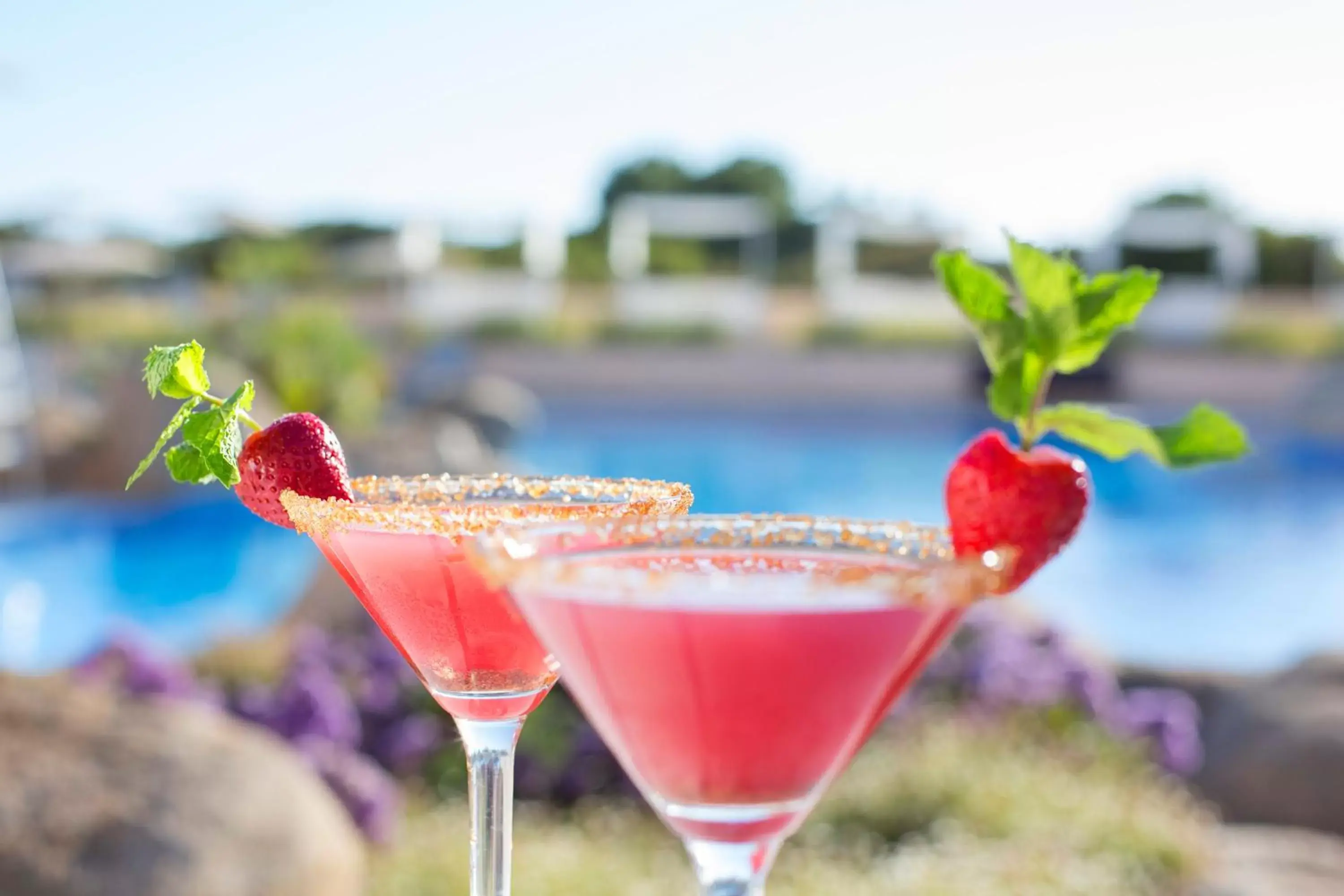 Lounge or bar in Hipotels Playa La Barrosa - Adults Only Lounge or bar in Hipotels Playa La Barrosa - Adults Only