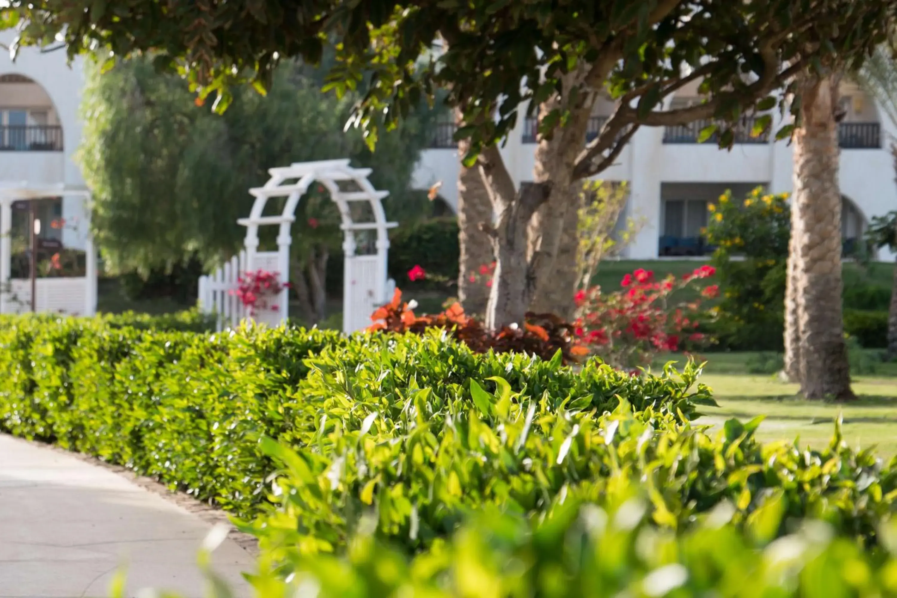 Garden in Hilton Marsa Alam Nubian Resort