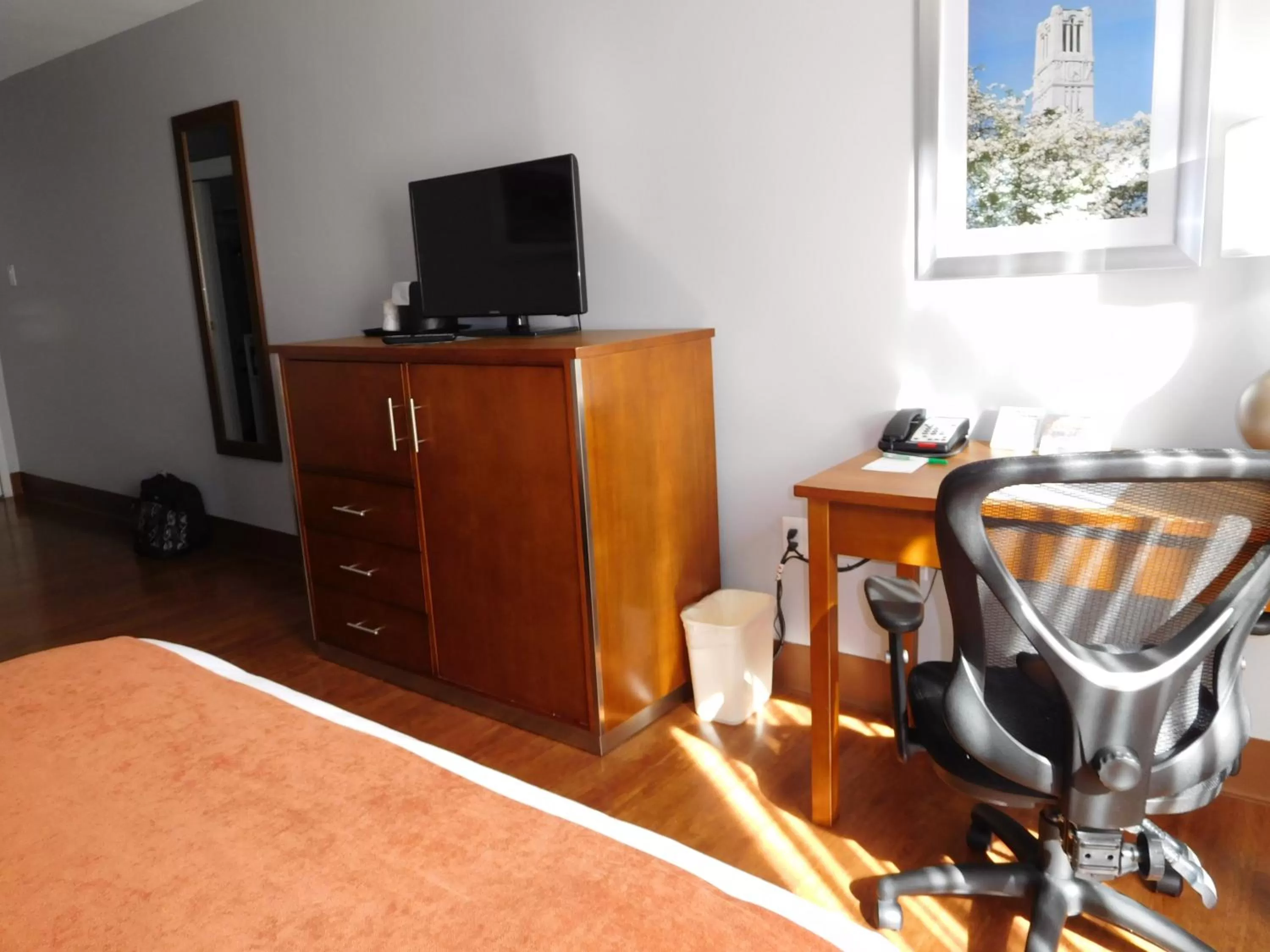 Decorative detail in Wyndham Garden Greensboro