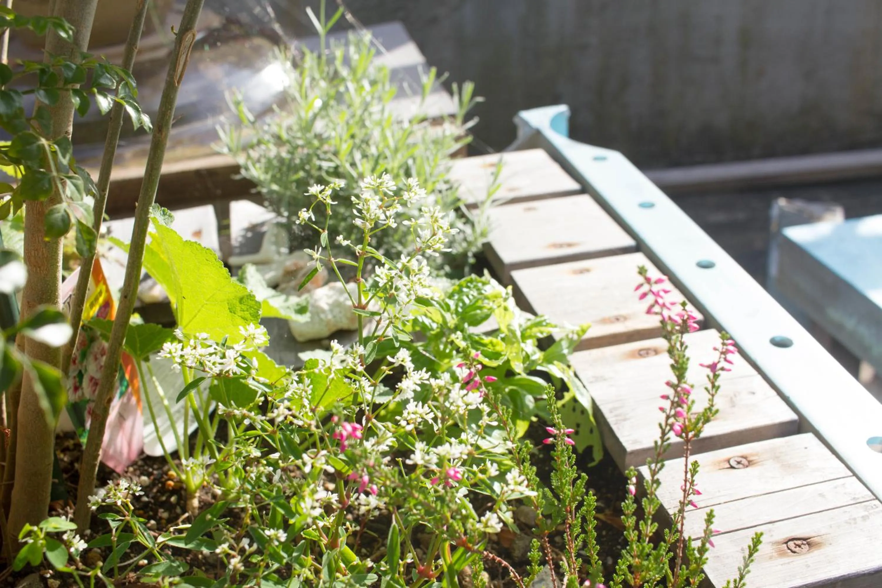 Hostel Nakamura Kobe