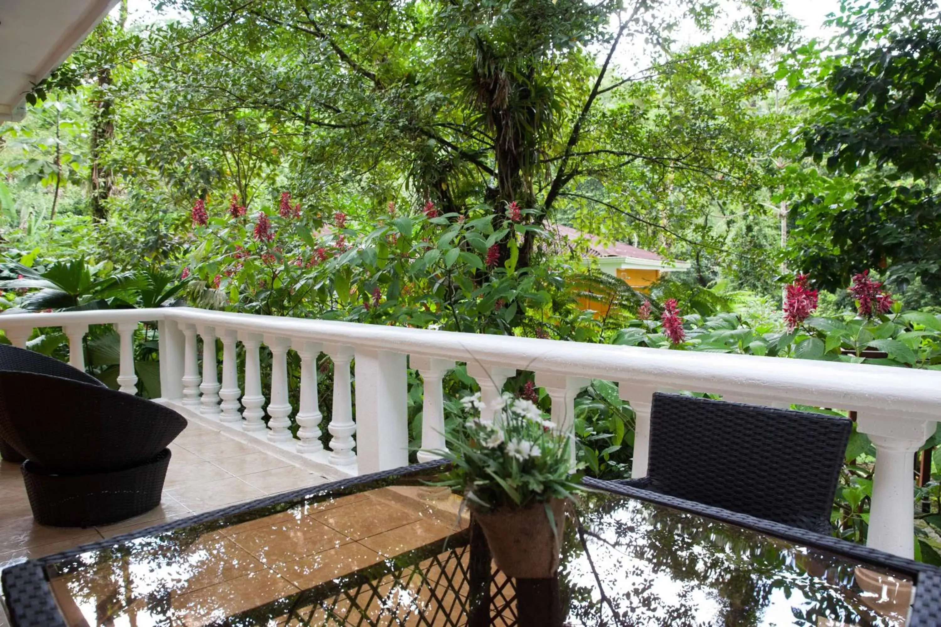 Balcony/Terrace in Tifakara Boutique Hotel & Birding Oasis