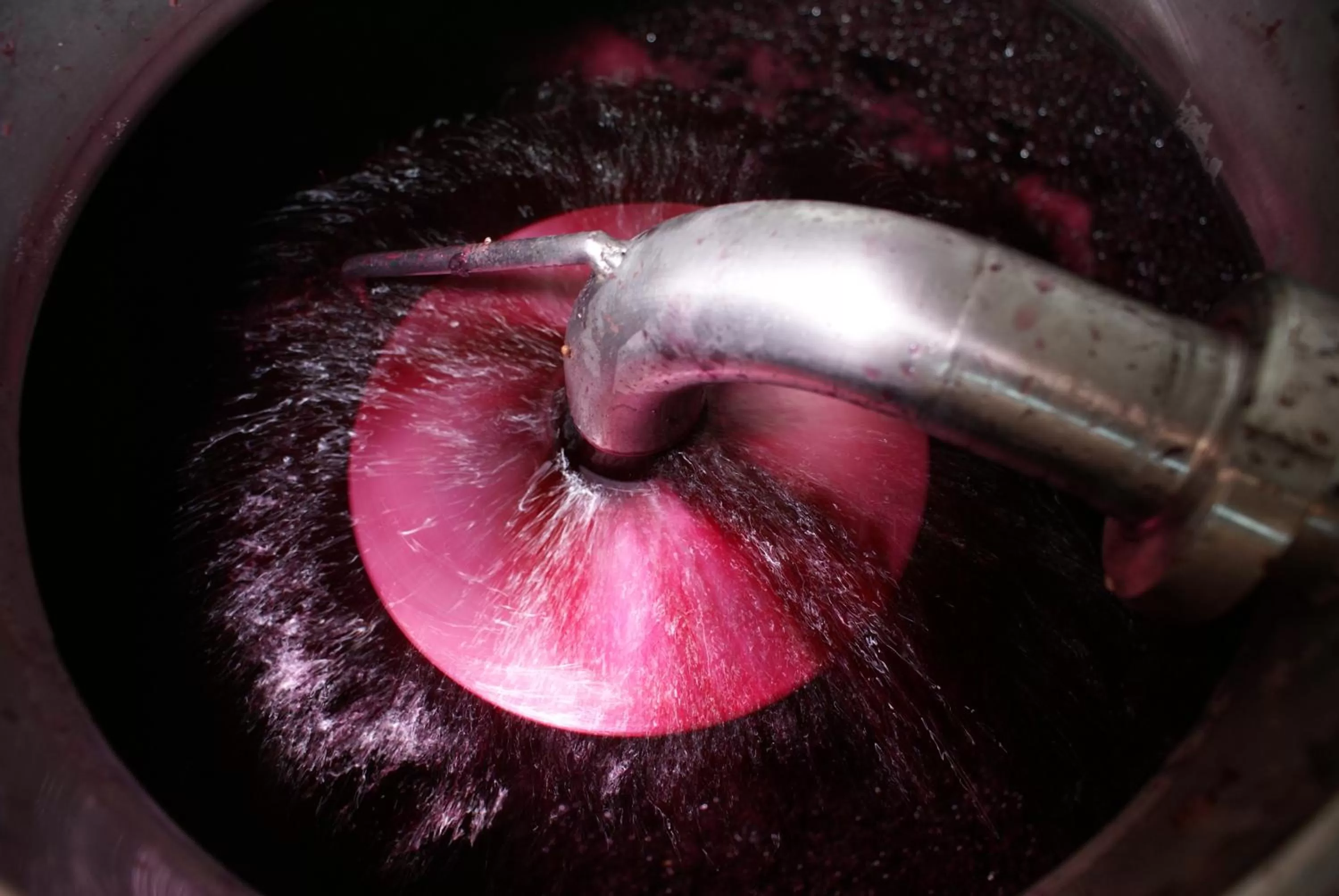 Area and facilities in Casa Rural Magnanimvs