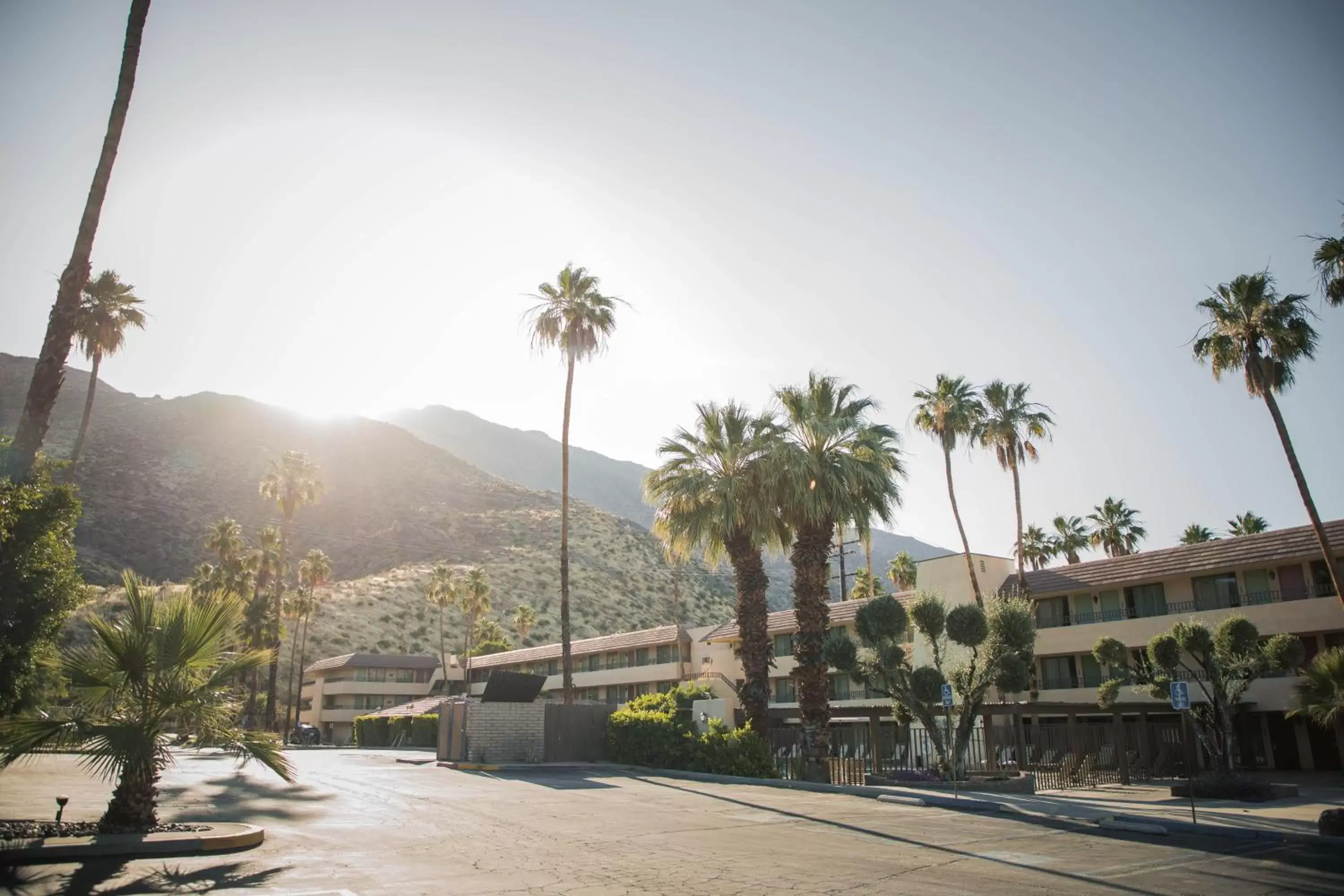 Area and facilities in Vagabond Motor Hotel - Palm Springs
