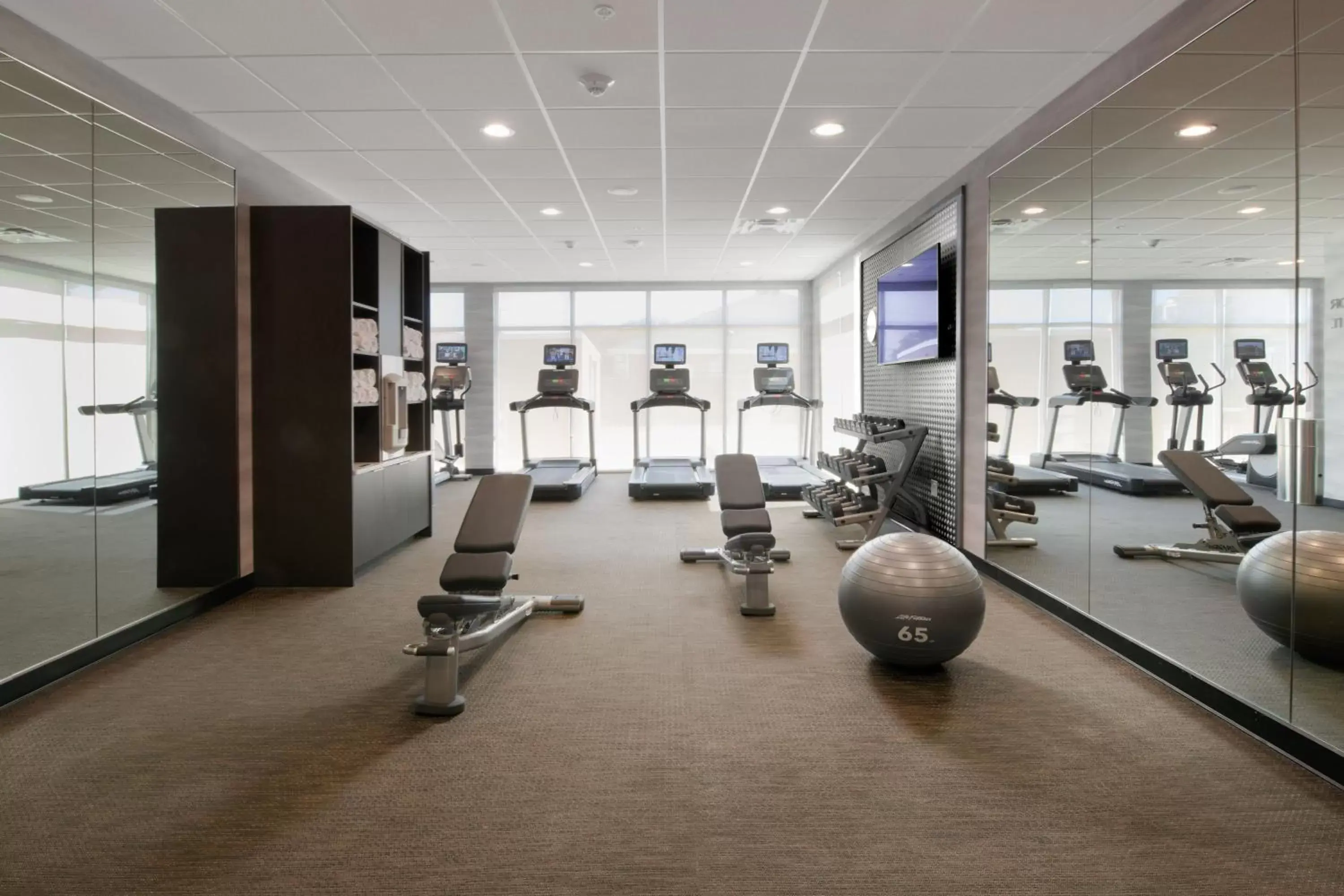 Fitness centre/facilities, Fitness Center/Facilities in Fairfield by Marriott Inn & Suites Dallas East