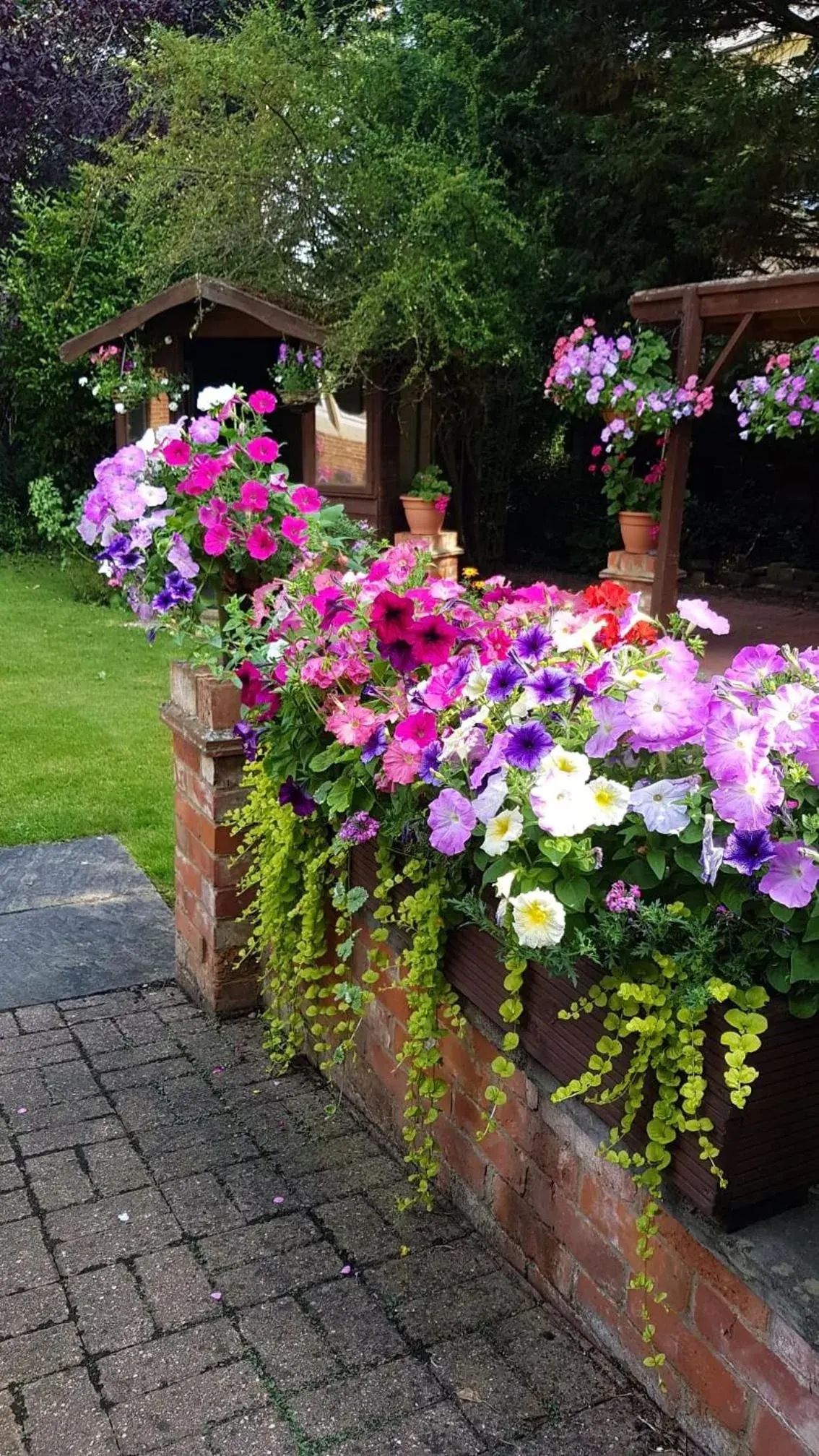 Garden in Beech House Hotel