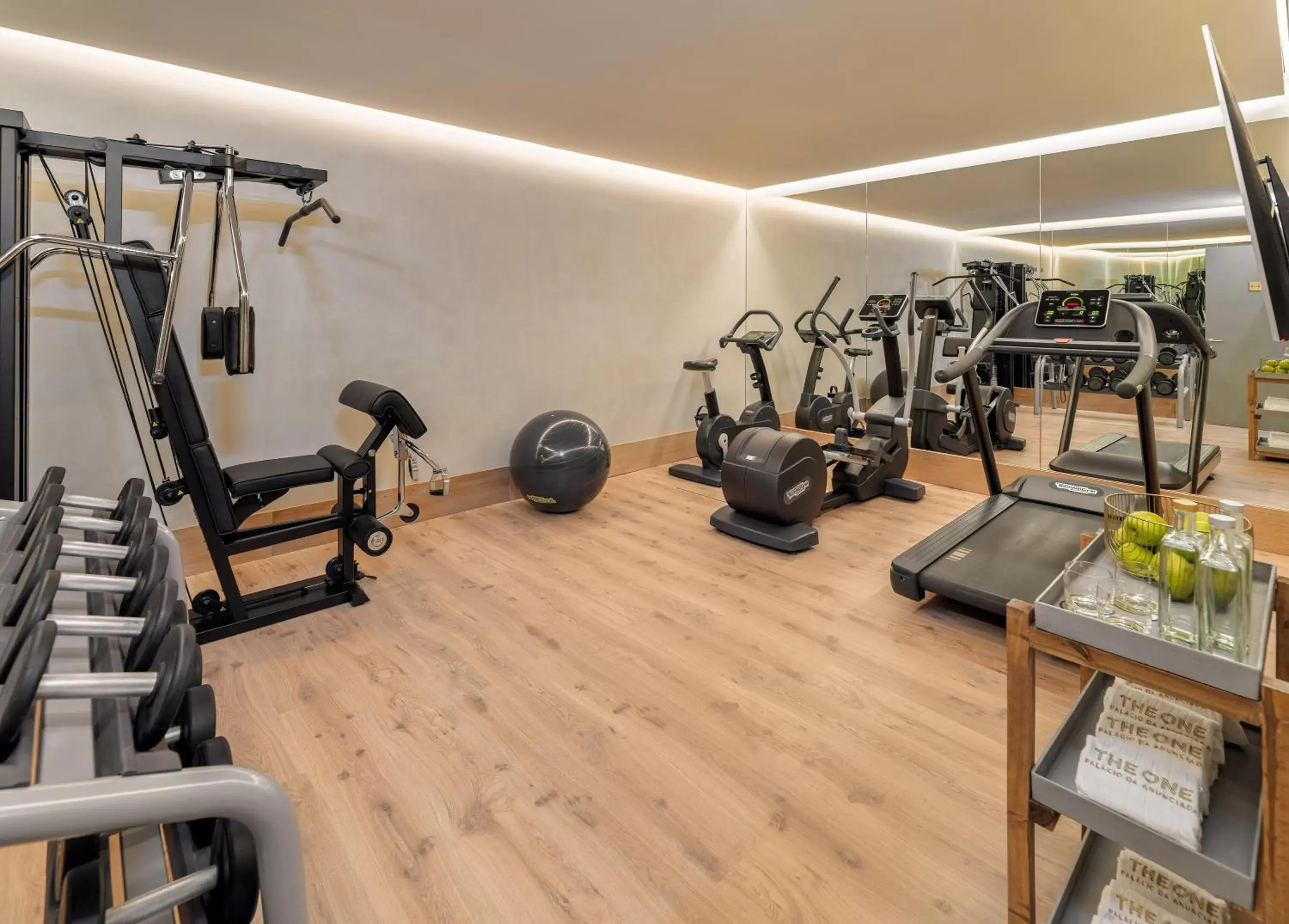 Fitness centre/facilities, Fitness Center/Facilities in The One Palácio da Anunciada
